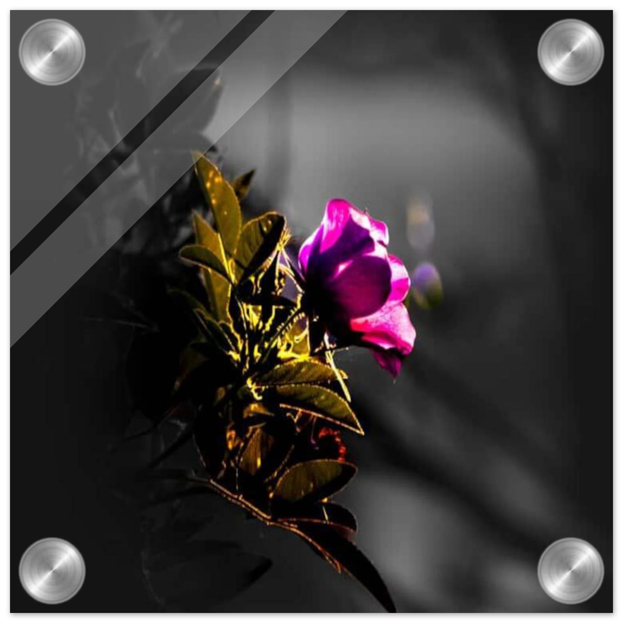 012cb8ca-0953-4f19-a382-a8c5df6057cc