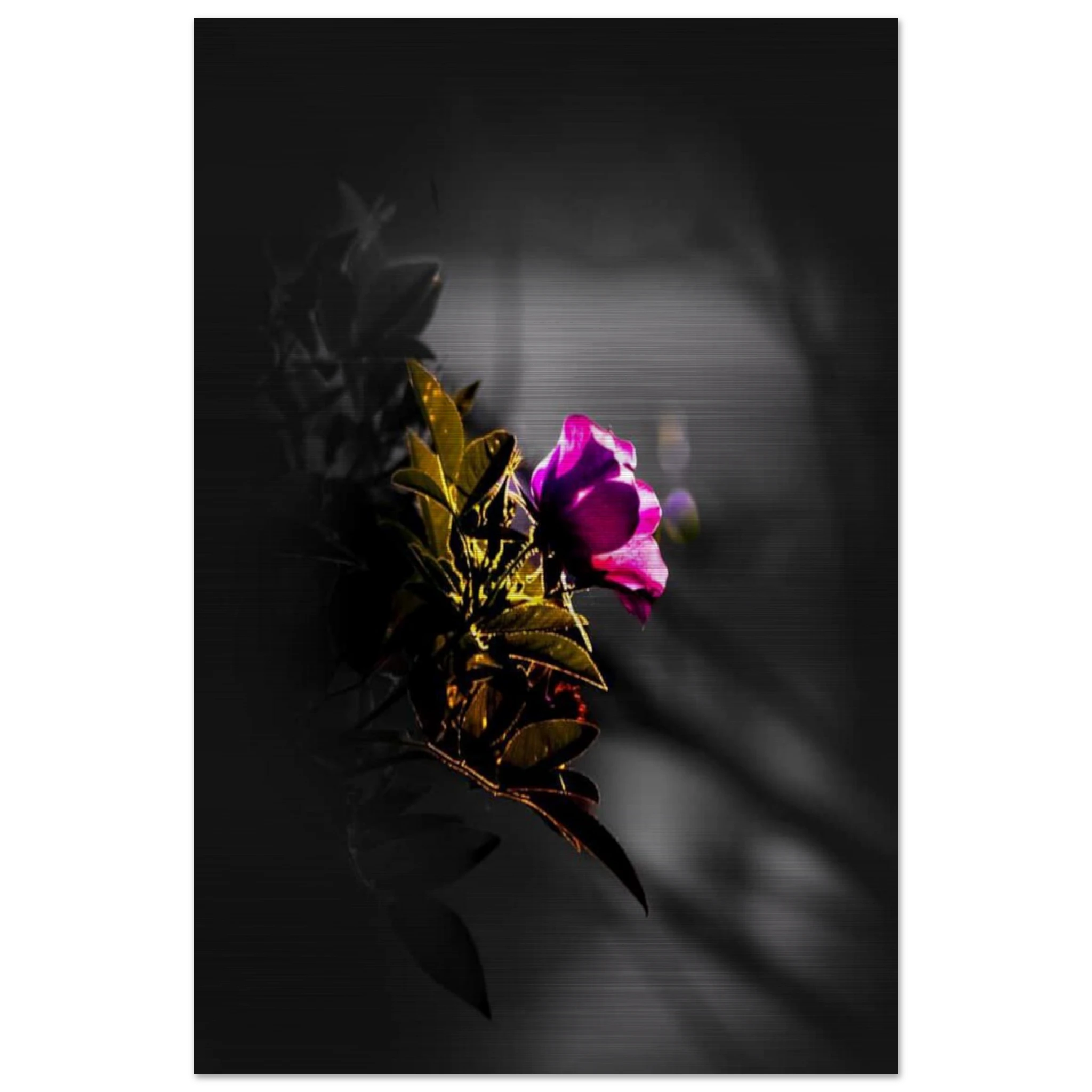 02f823c8-fb0d-40ae-9f0e-677ec709fab3