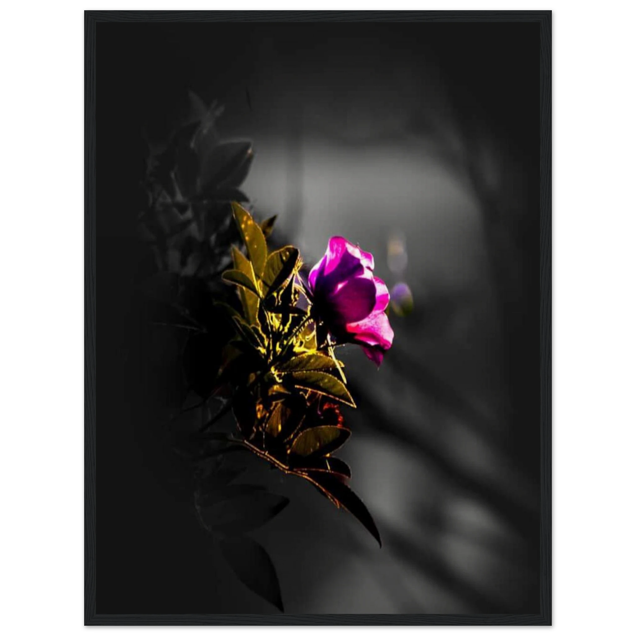 09432a41-b057-46d5-bb16-9fe1df65ceef