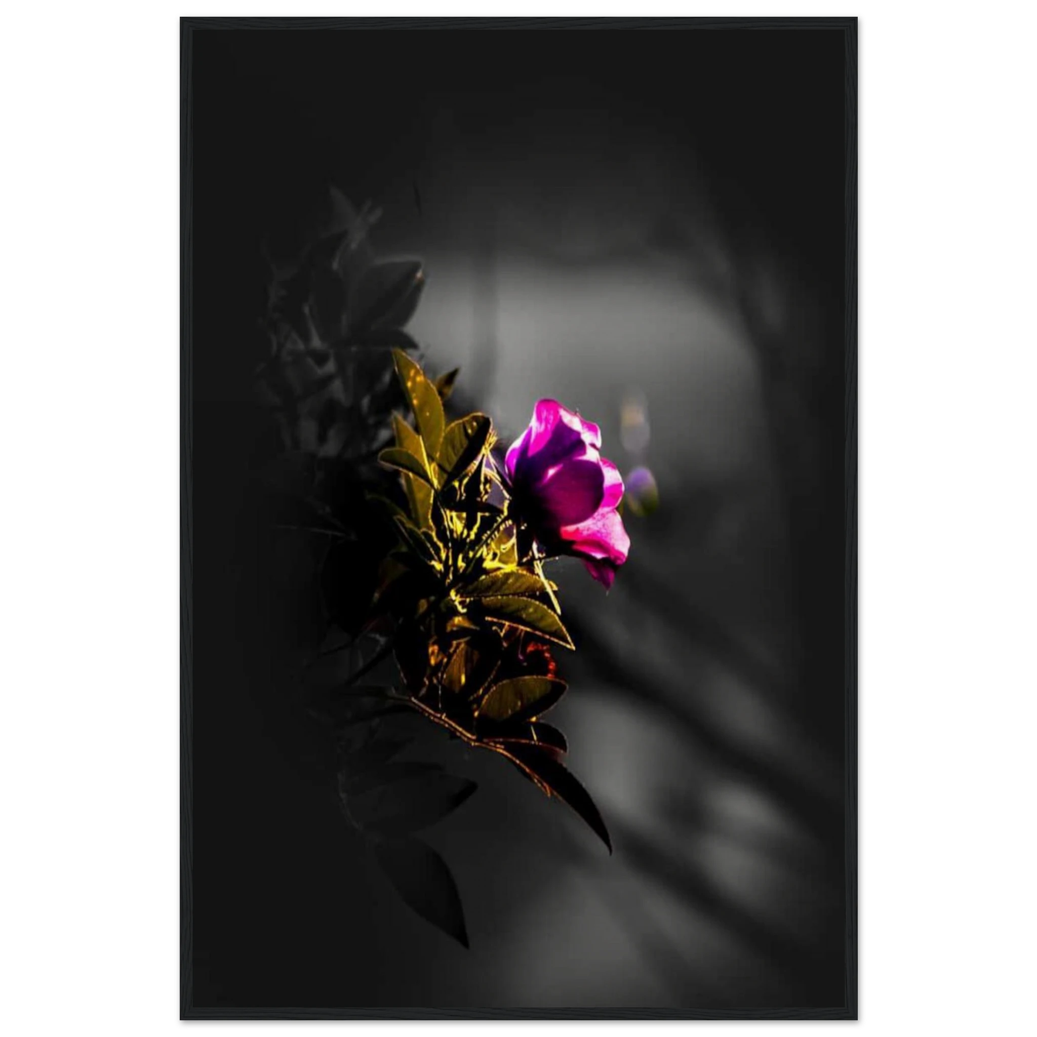 2585a0b9-5c58-4cc2-9344-8f841269bf16