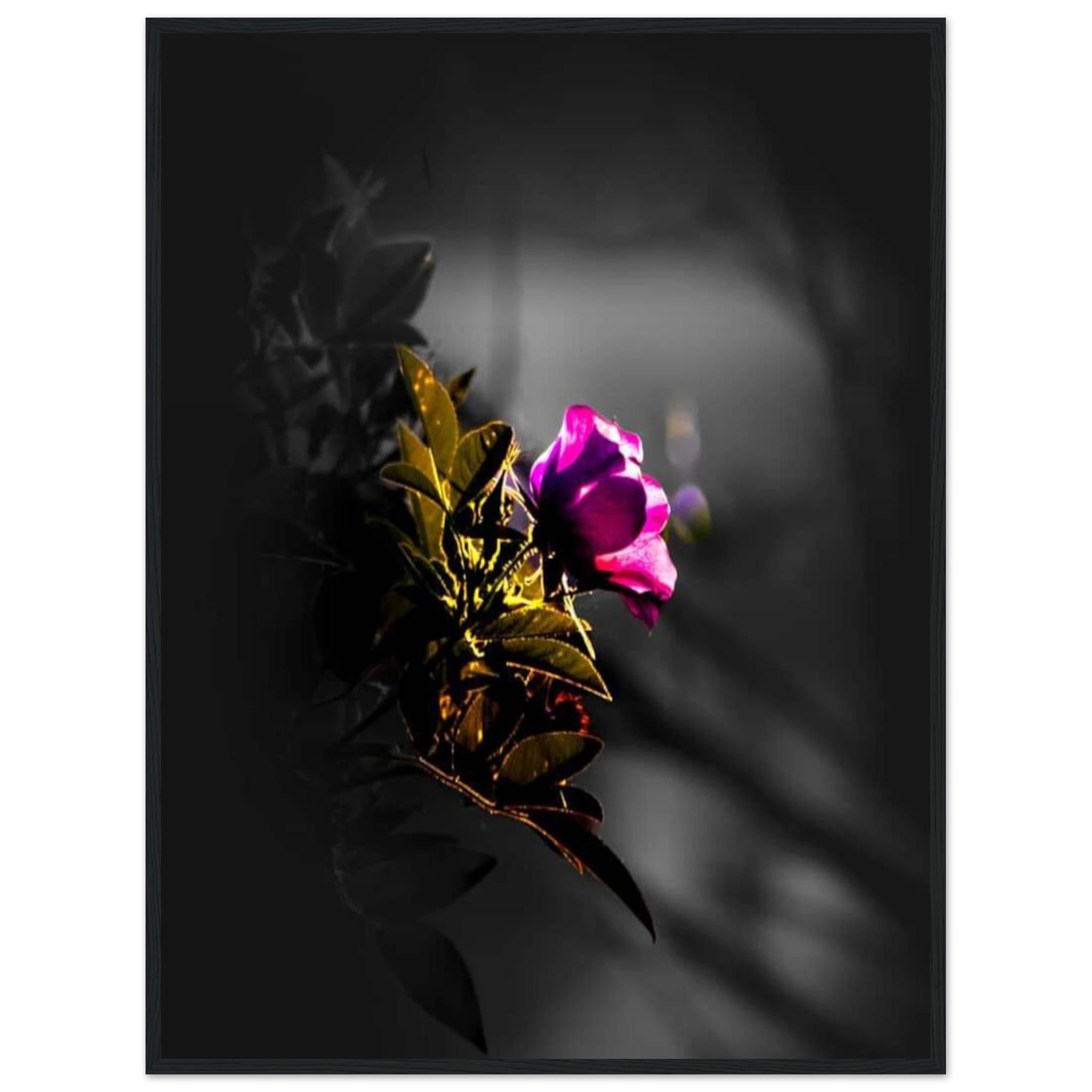 2b895d38-d312-4d26-ba09-409fdc13a601