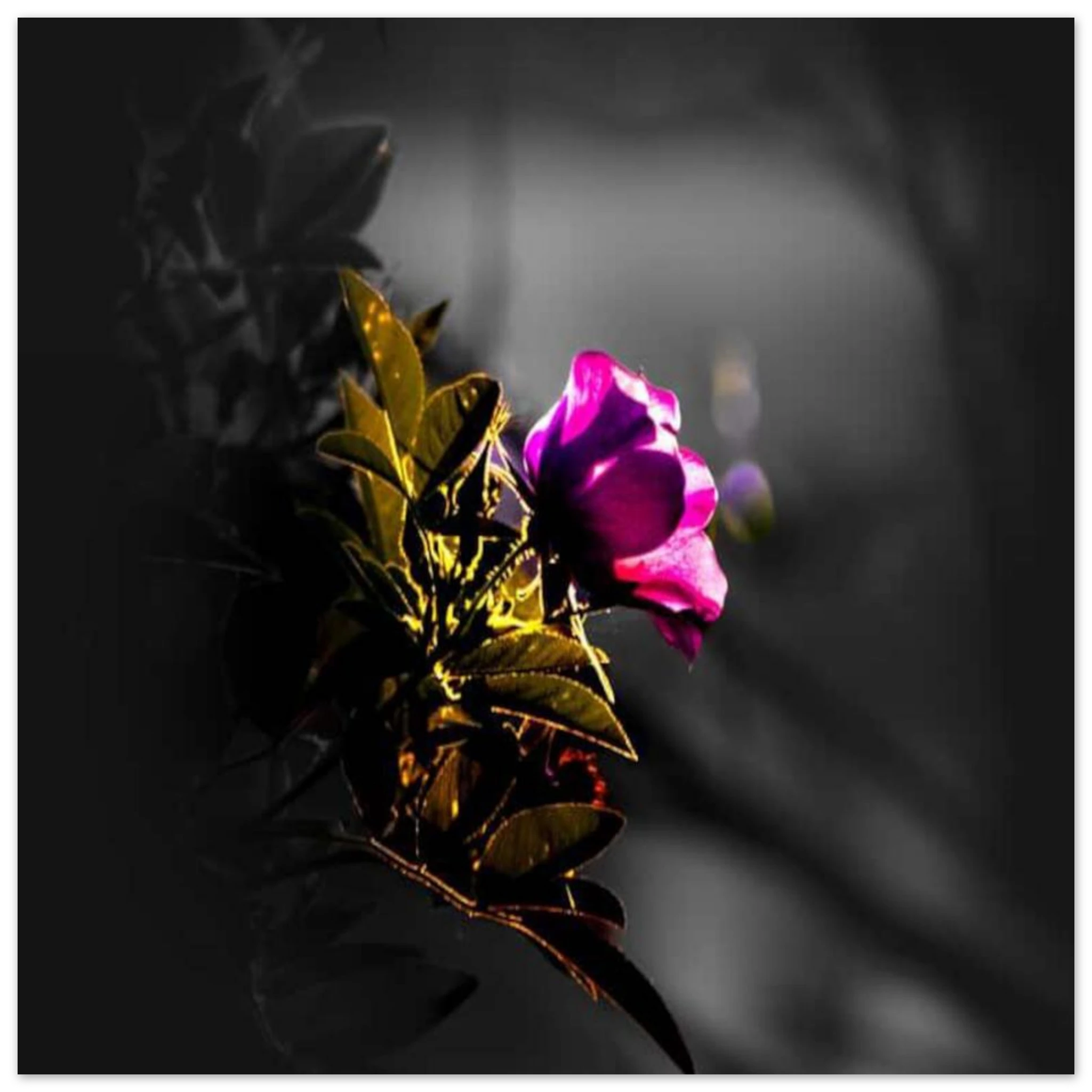 2bb00db8-efda-4796-818b-da7888483e73