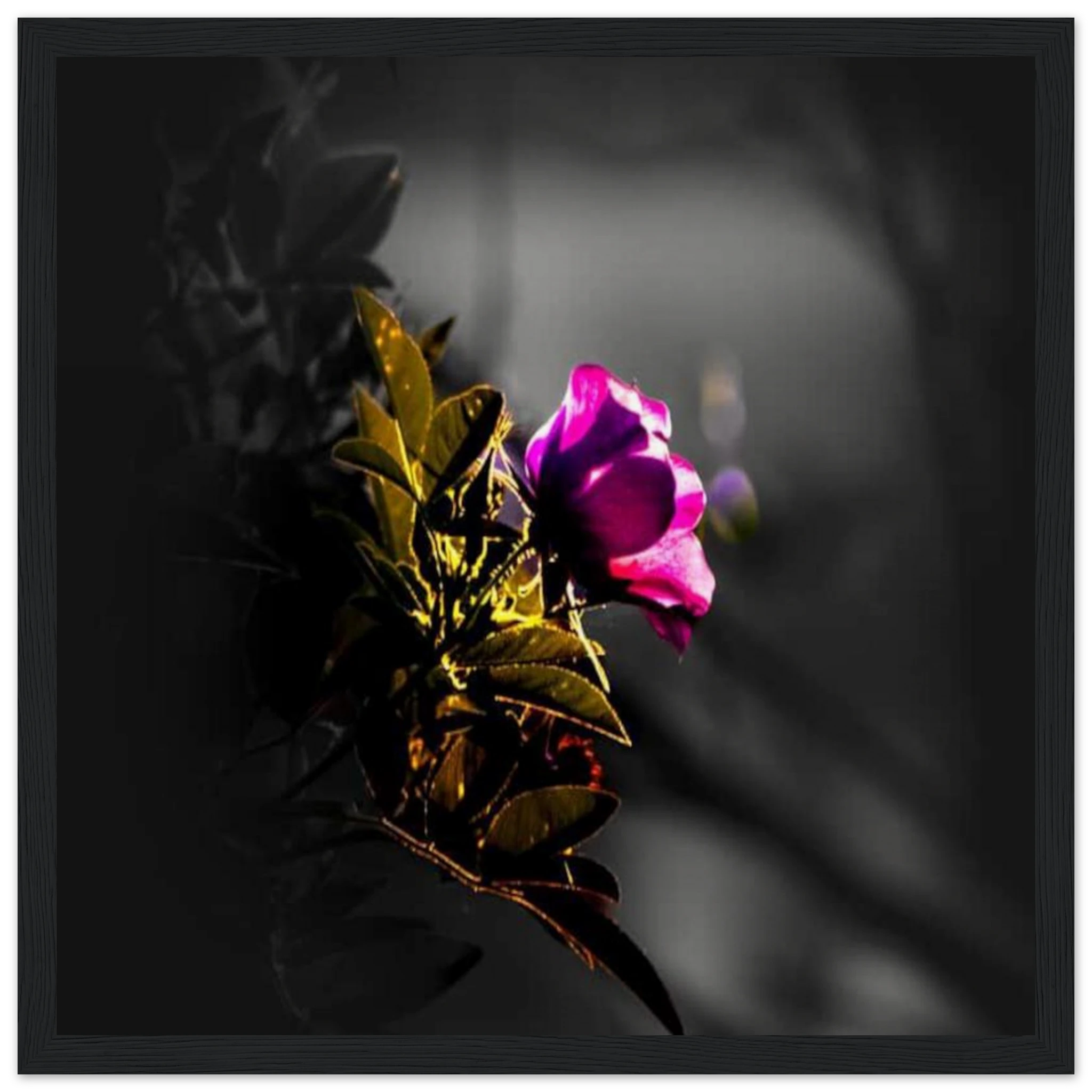2d158139-b9be-4a98-8514-b132c77d6aa8