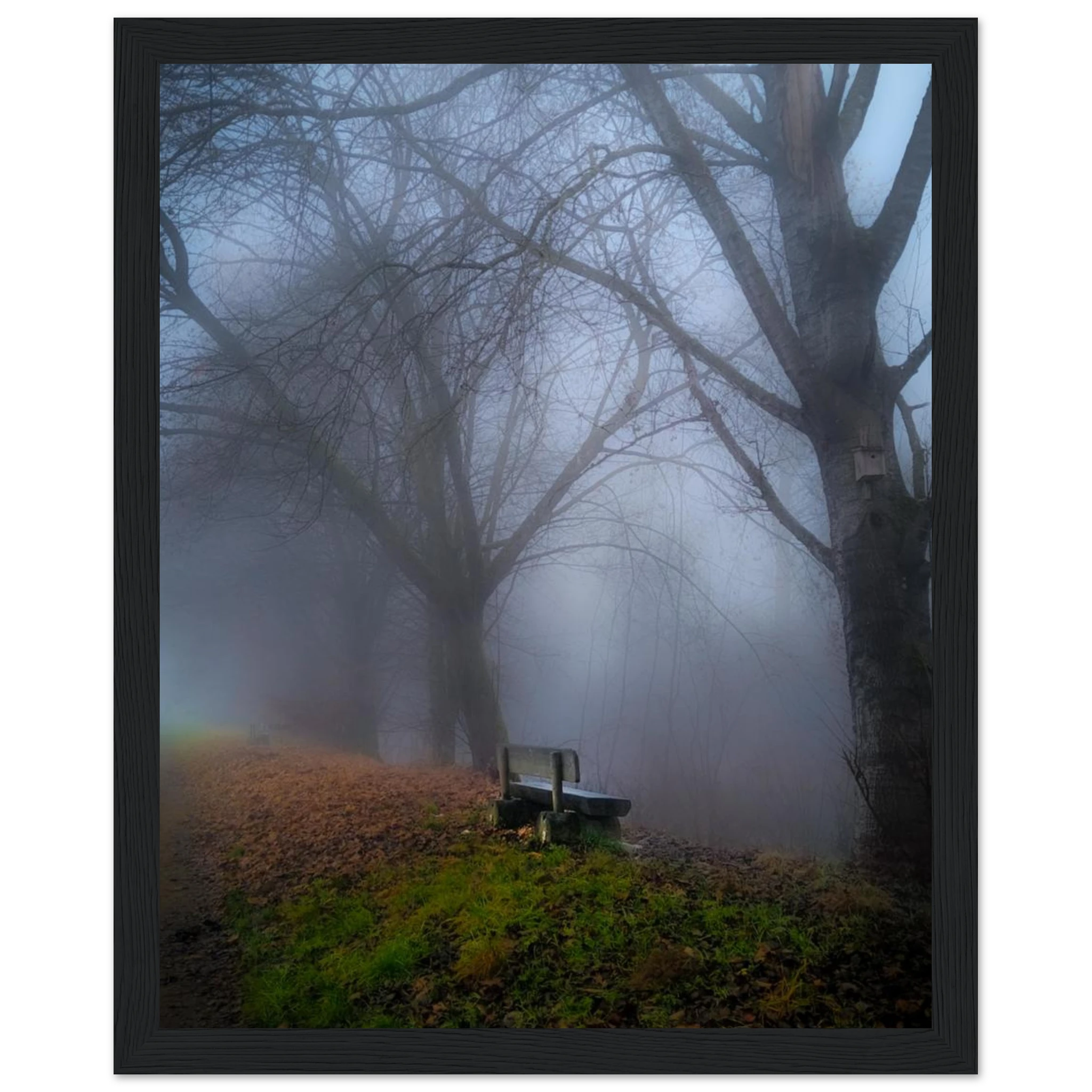 2f1b2bf3-f060-407f-8aef-172b72432256