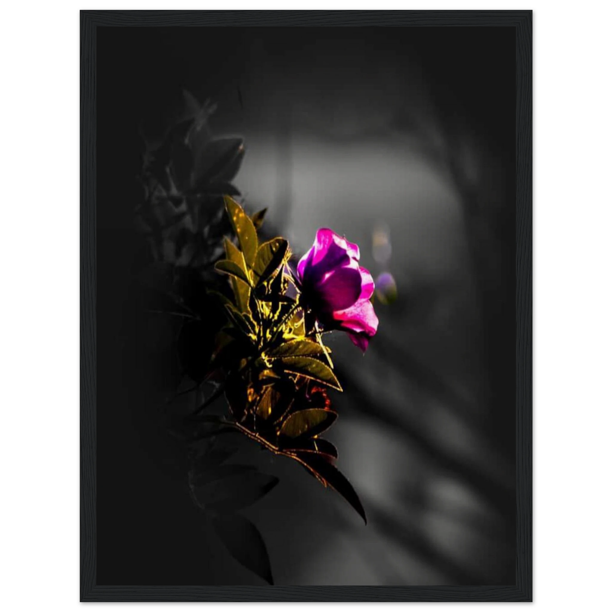 305b9d56-bfdf-4628-84f9-ce68b669e2b7