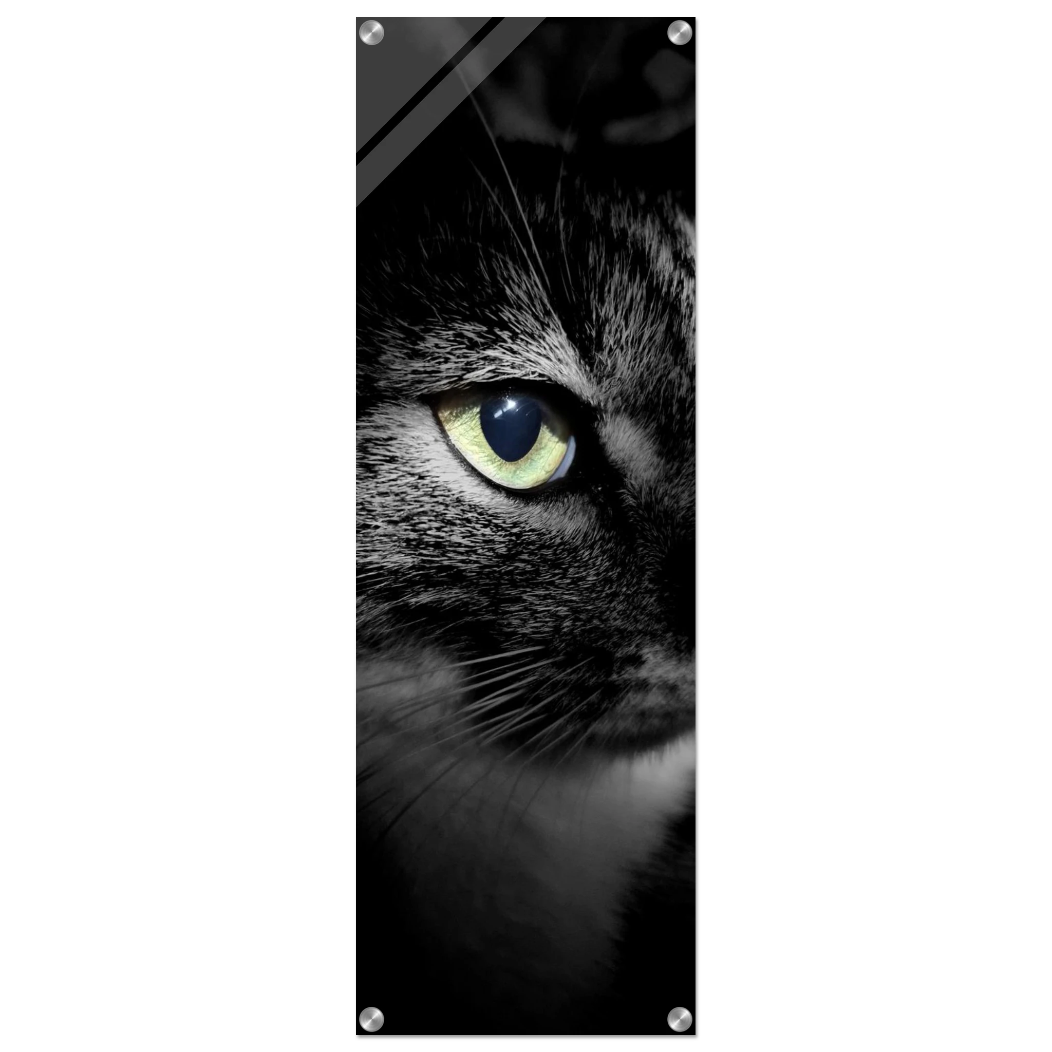 34526164-0f42-4bf0-ac64-d7a39688bfa4