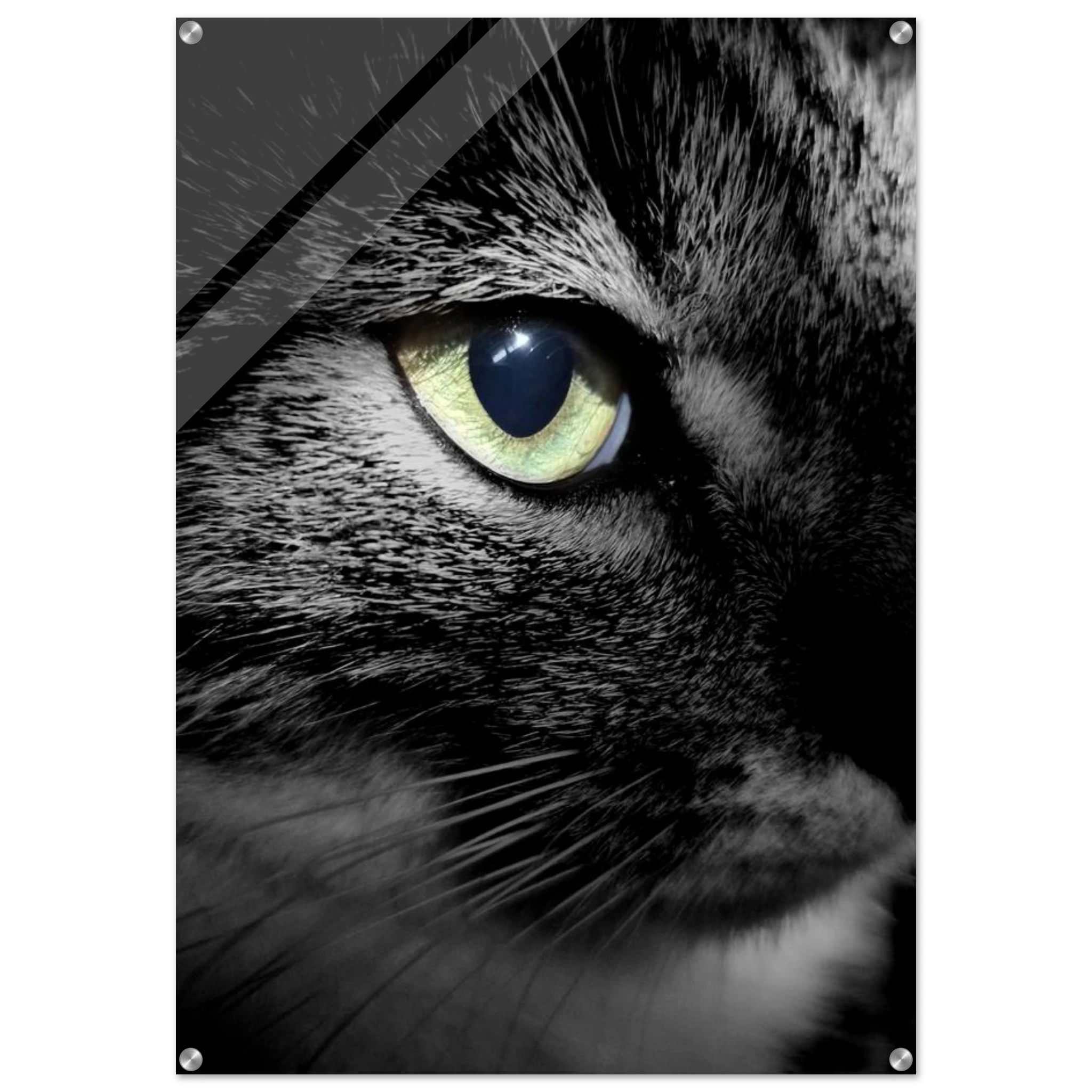 378cfc35-c240-4b5f-bd17-7eb49bc7de23