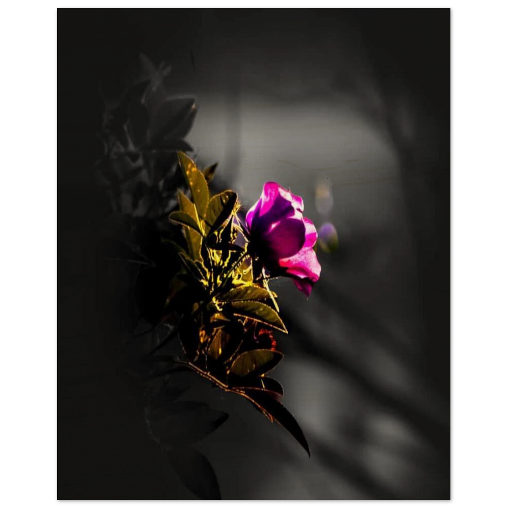 389d9ce0-5e97-4b78-b79a-4a72f836fedd