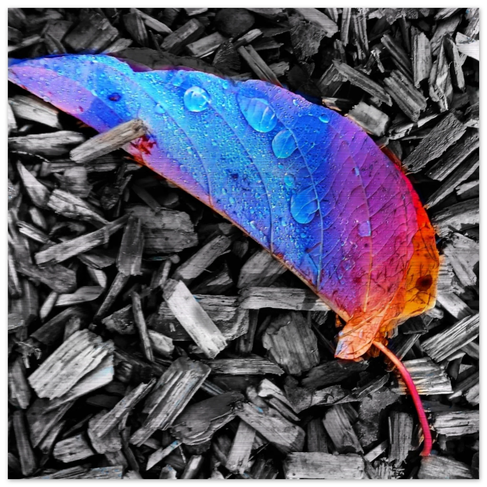3940c964-d730-4e53-8fbc-50643c835c99