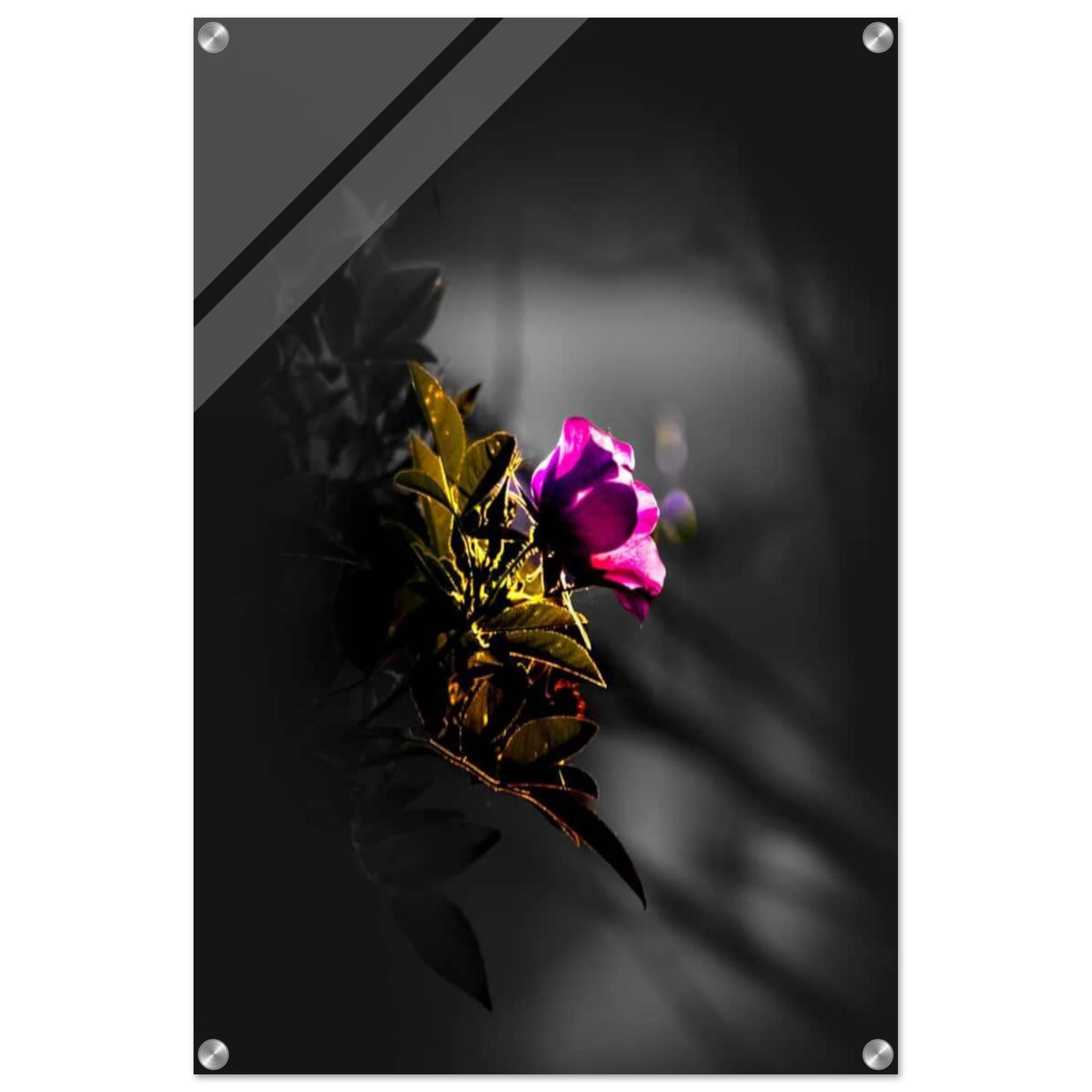 39565fb5-b159-4c65-8b94-3c1da7d1e69e