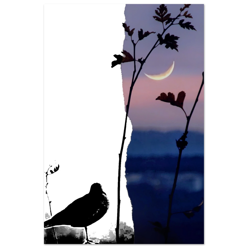 40857384-f2a8-4654-8fb7-d885de2feb40