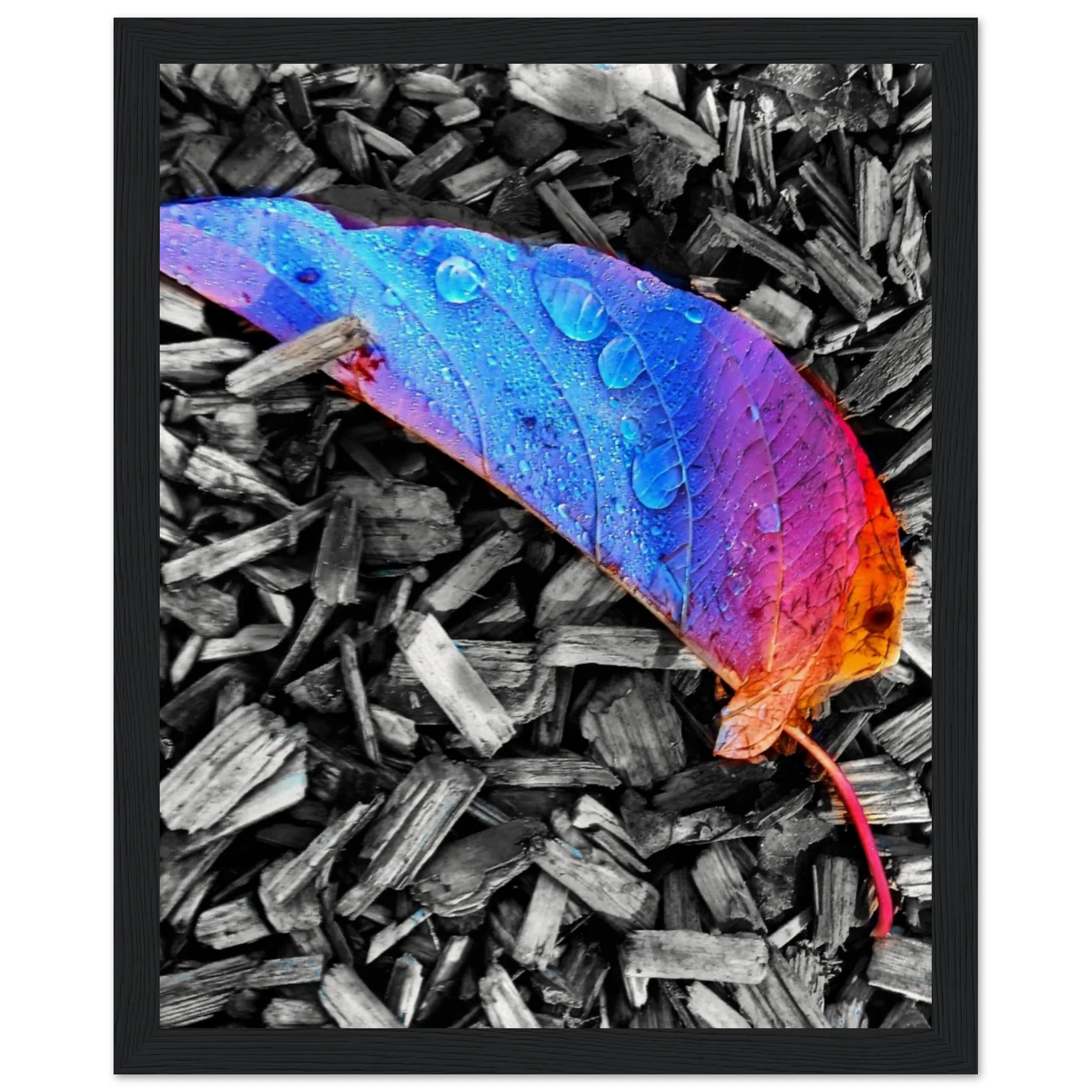 4661ae6a-d8f2-454d-b74b-099e05157fb7