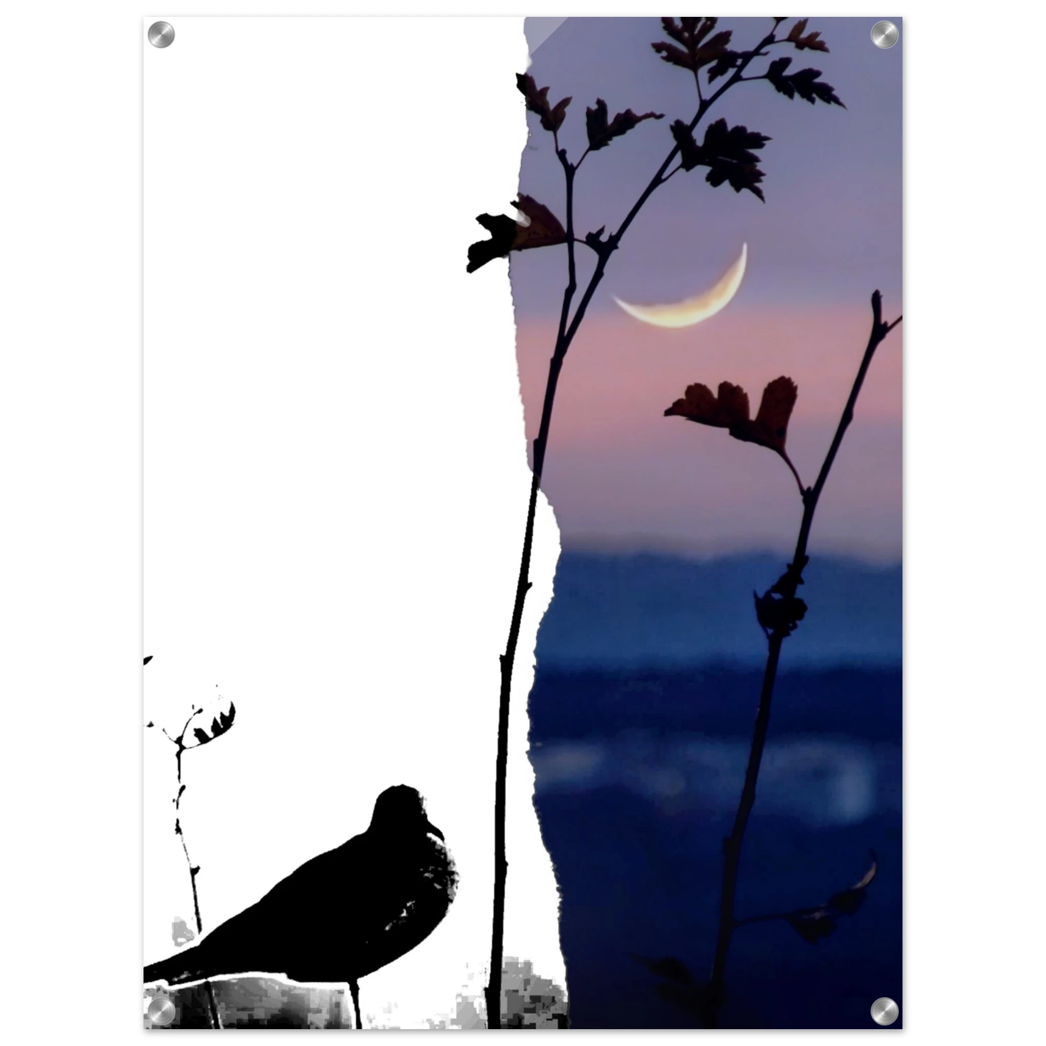 47d7bc2b-1875-4323-97cd-cd5b11e37d26