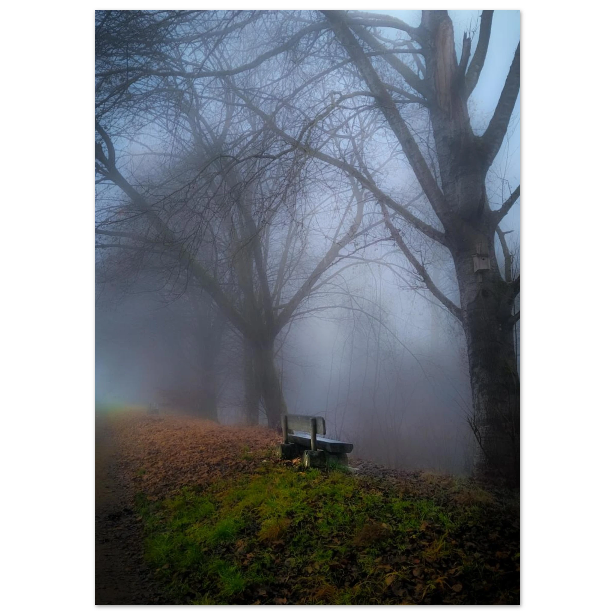 5320d508-f0f0-44a3-b88c-249d14efe64b