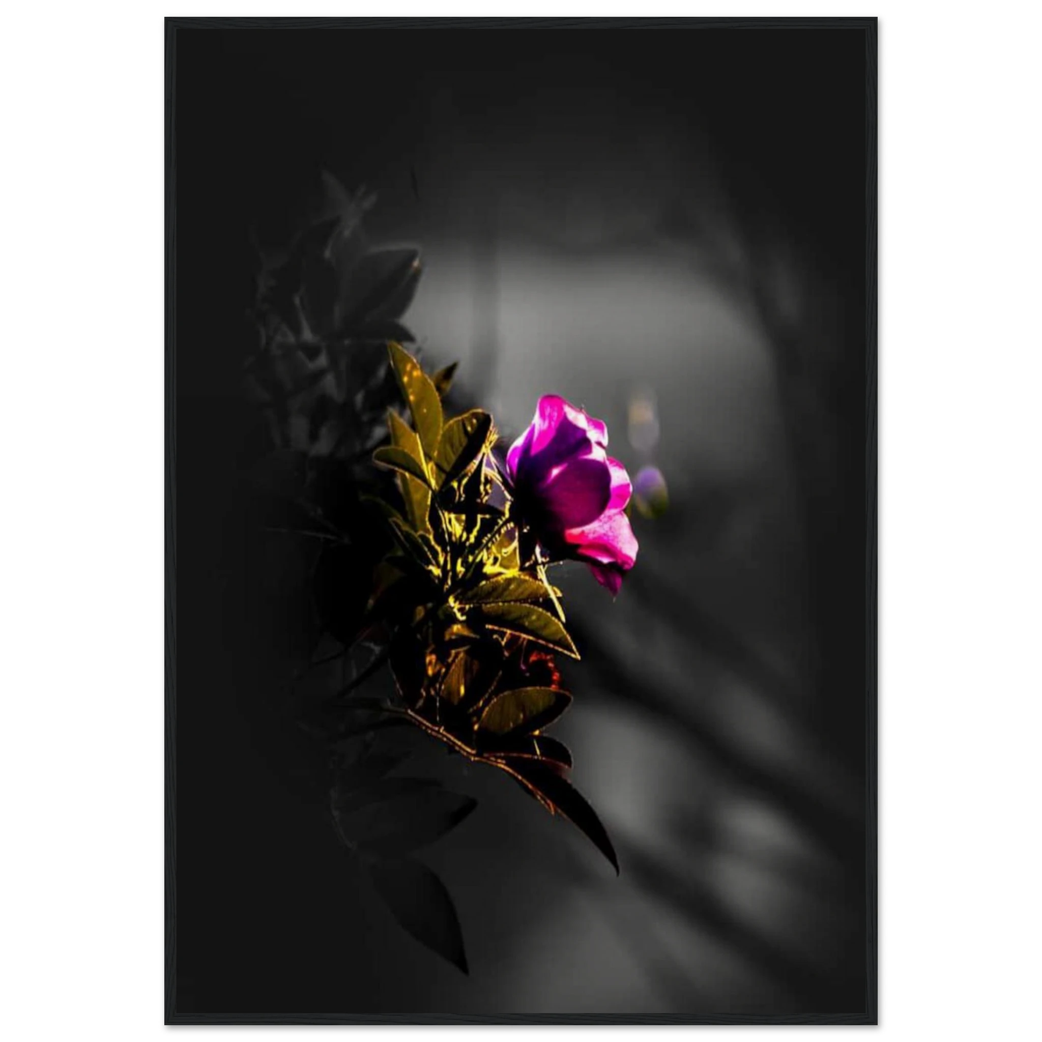 53f7d79c-66f1-4837-bcbc-c4aa521c0c48