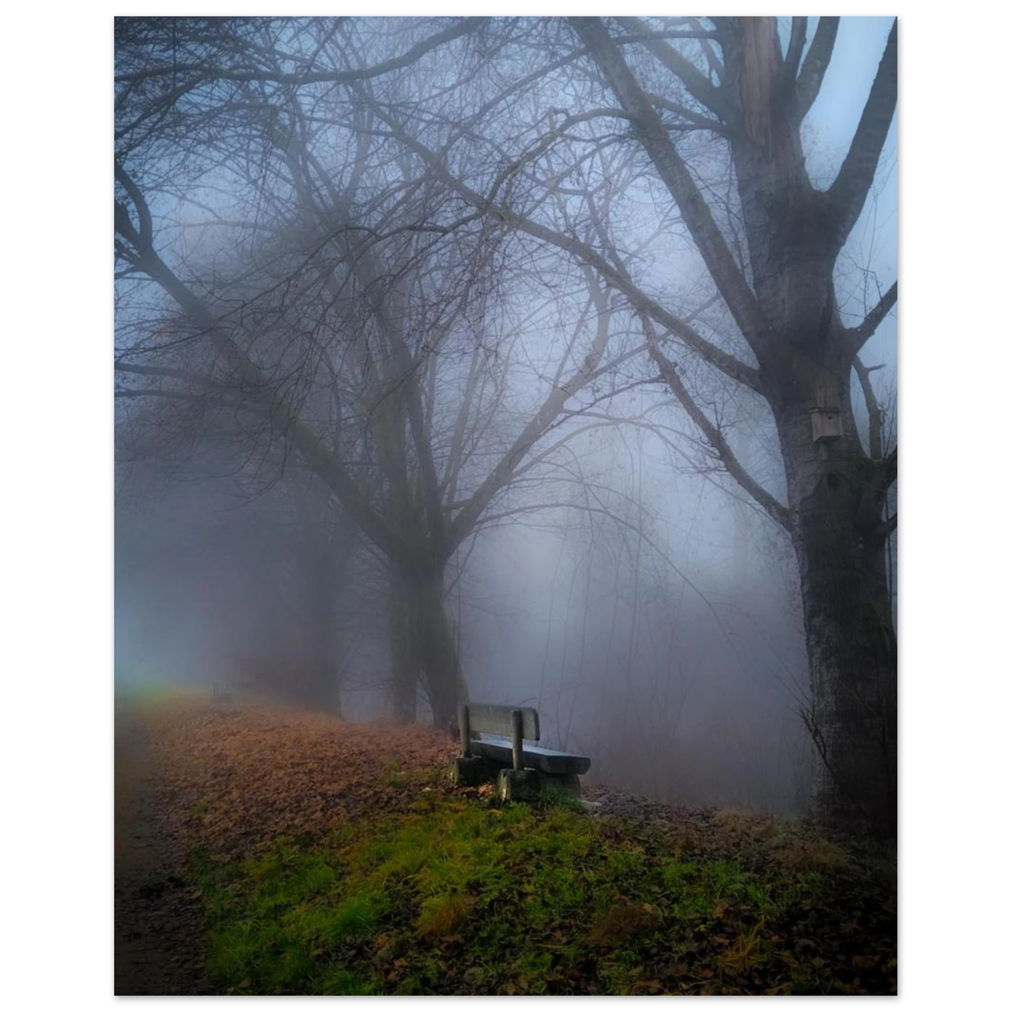 5629925e-f930-4fc2-81df-7167ebe26ad0
