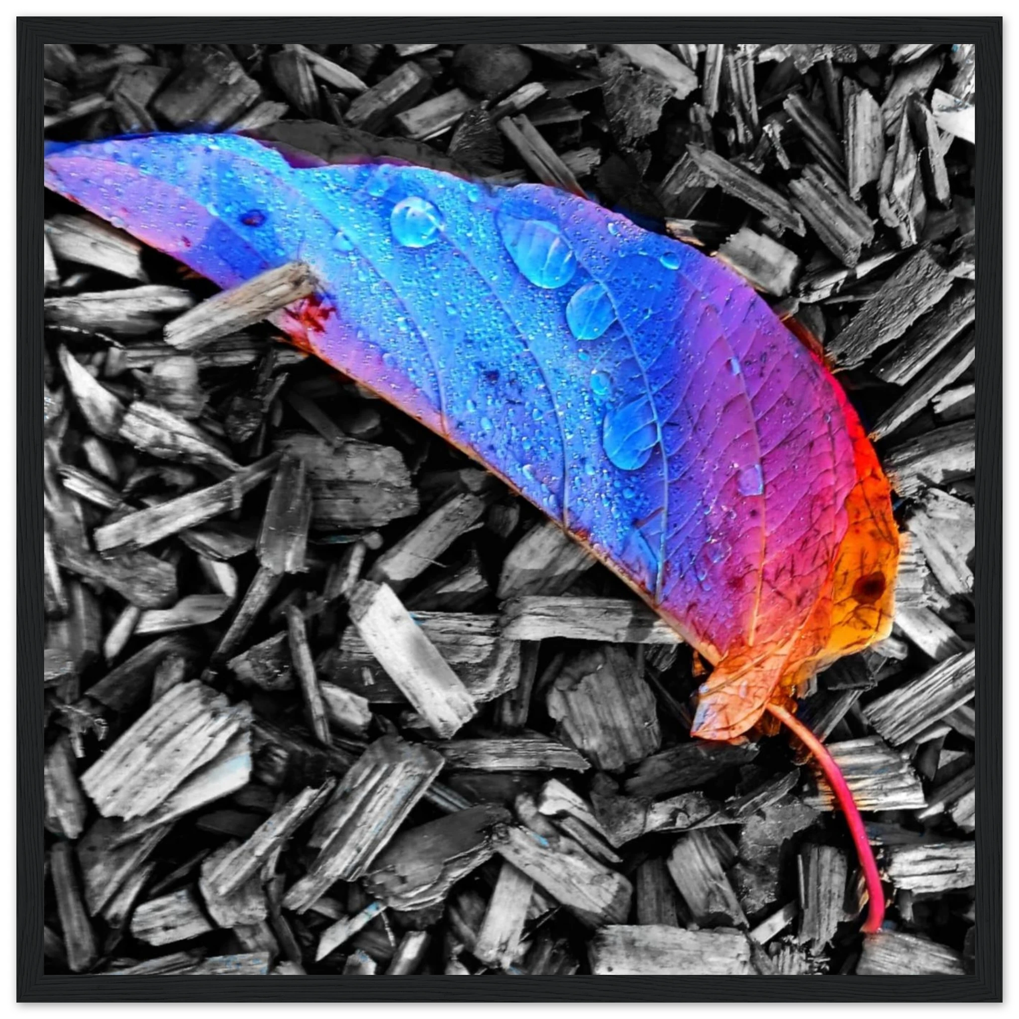 57ef3e47-f6b5-4efd-bd08-89388be8b9f2
