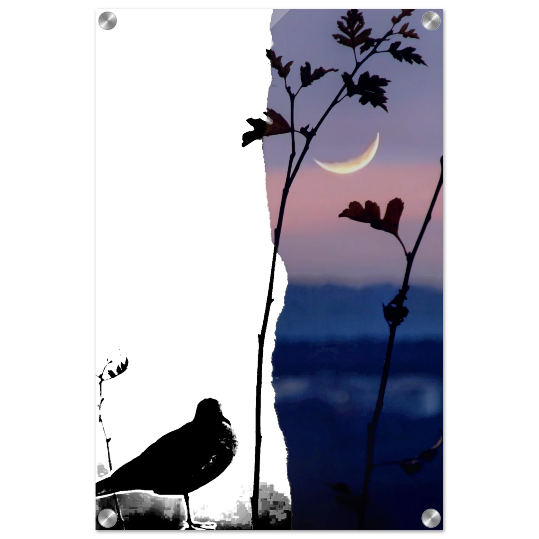 5ba05161-e290-4a5d-8964-f7e7a856dec8
