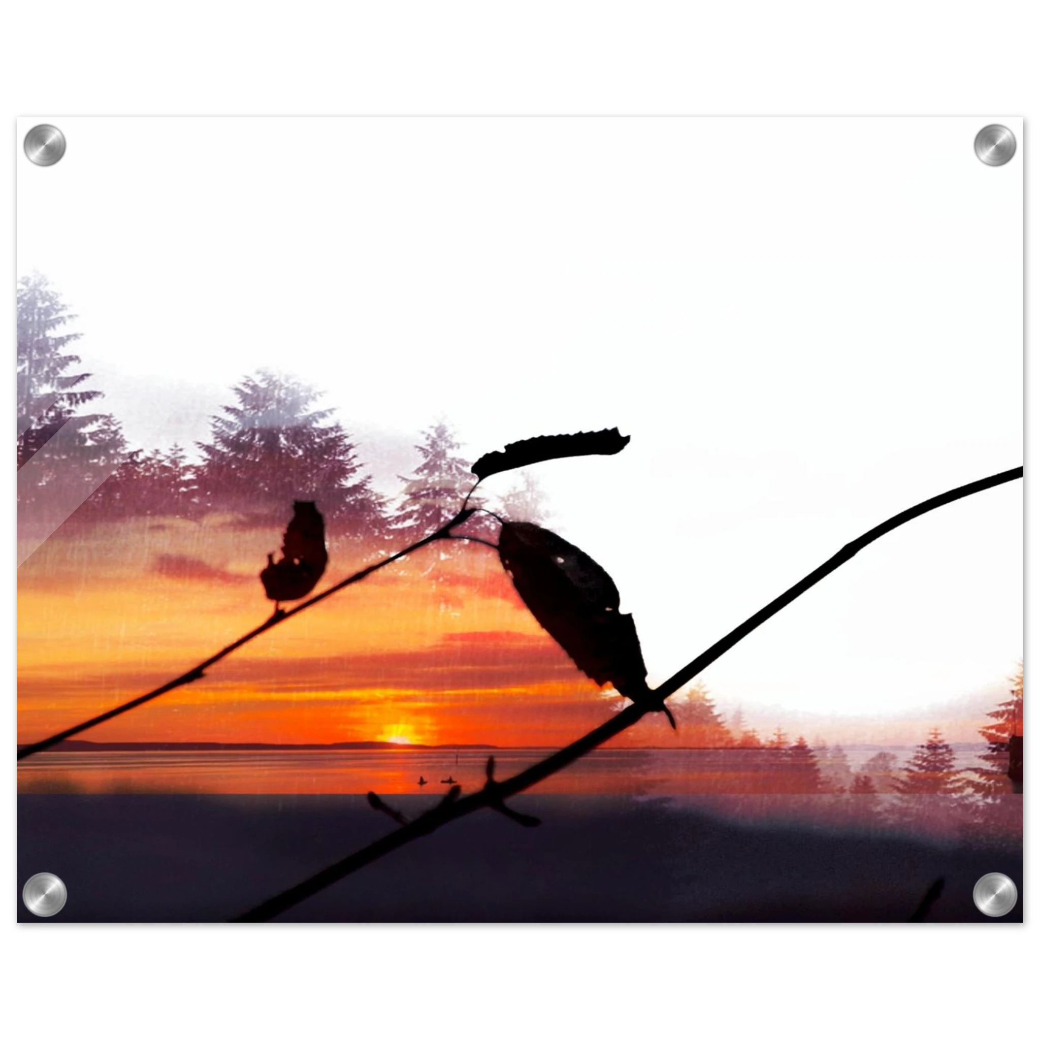 5ccf8165-2138-44e7-b46f-3b6239bfd6c4