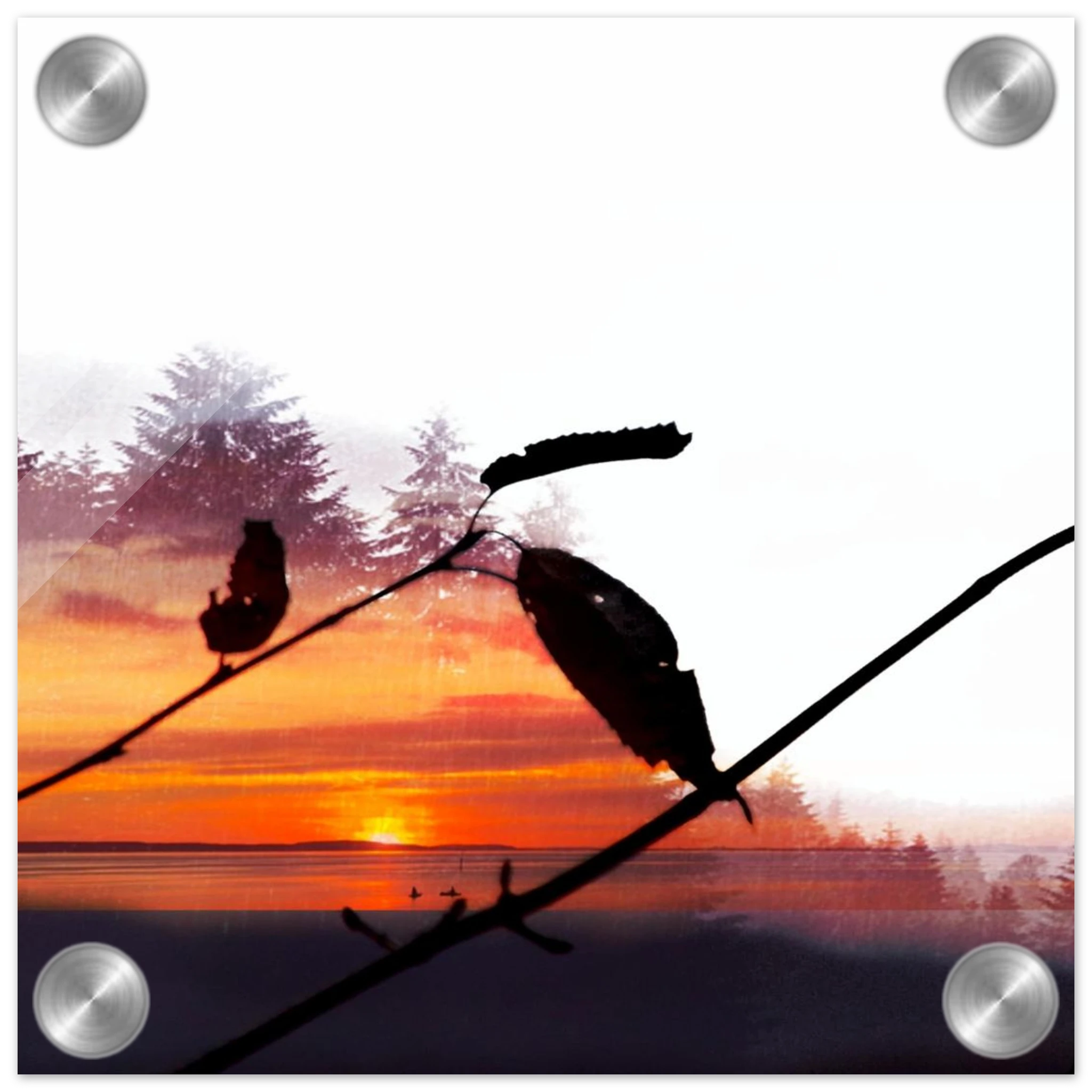 5cdc17a3-4560-4464-b037-417abf7792f1