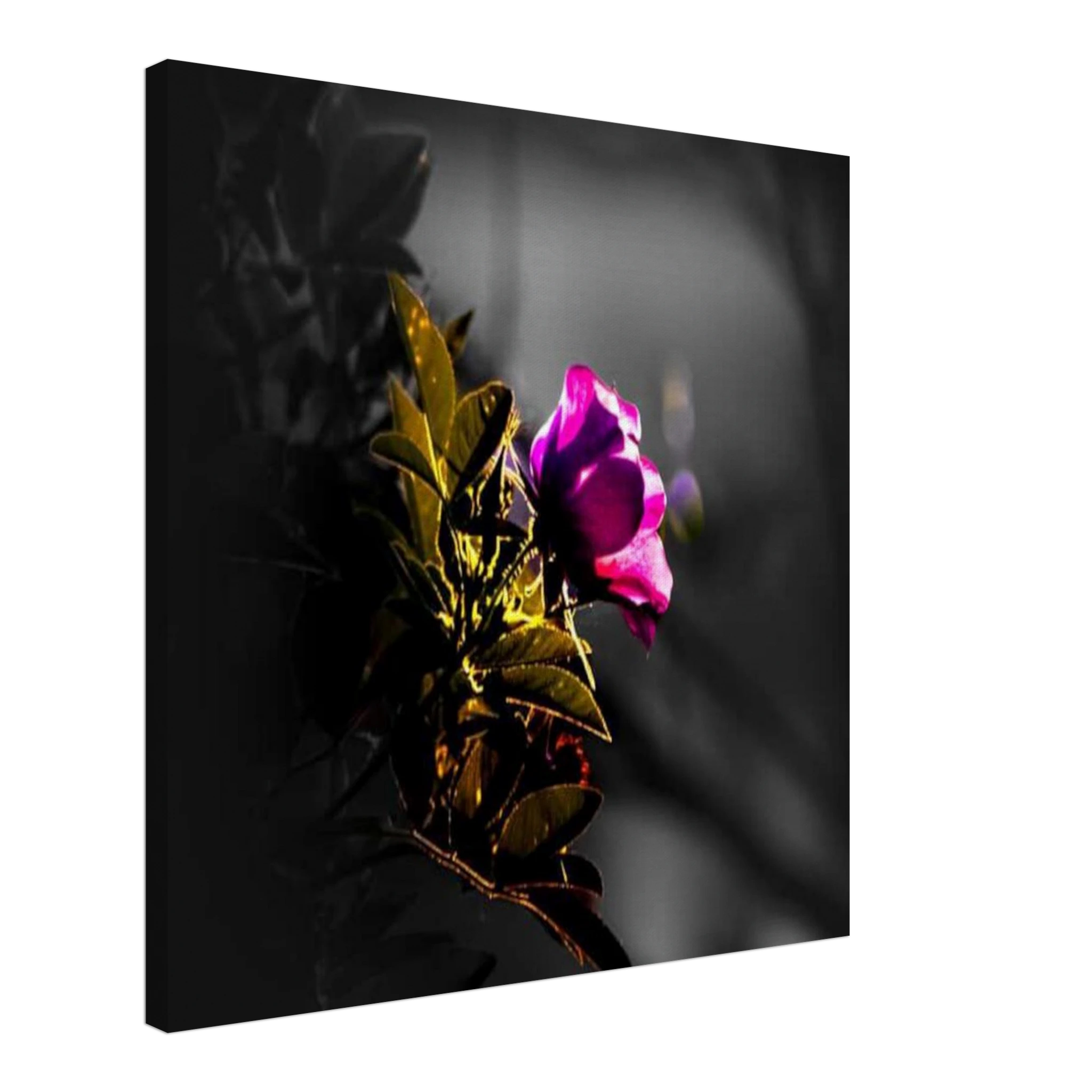 5e0840fd-78ae-4d43-97ca-2b3a375ee649