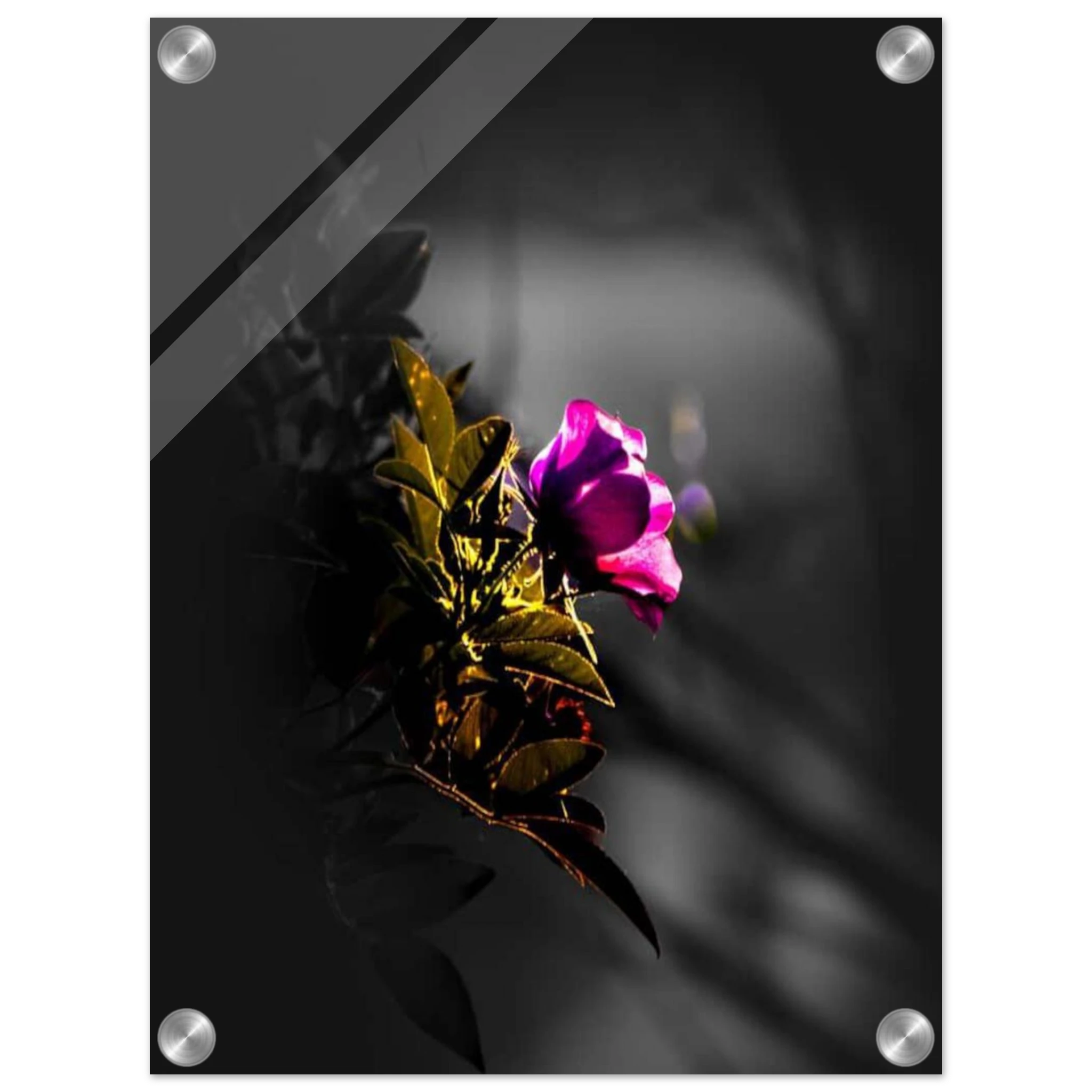 665b483e-4be7-45f2-93fc-2c3a1ba1e823