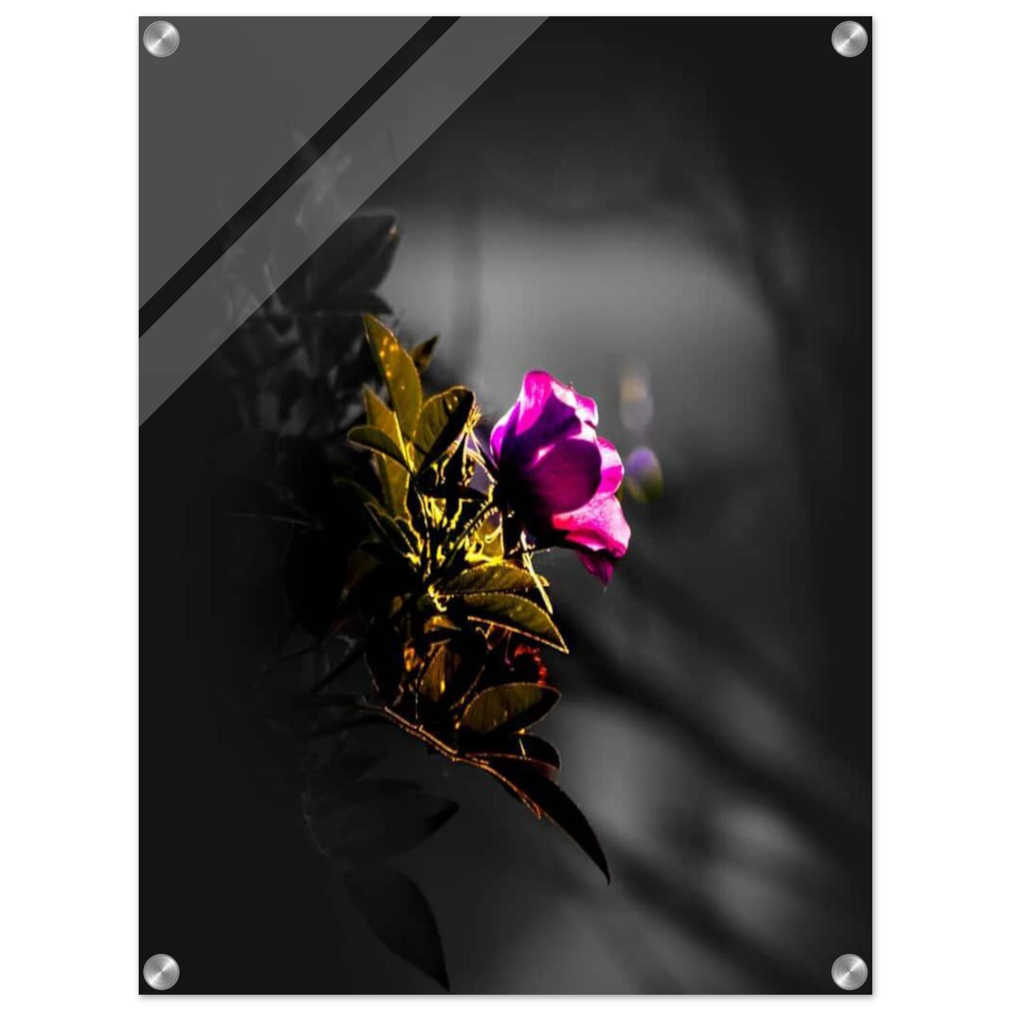 6c4dbbe5-d6ce-48ae-8b66-0bcc89e19686