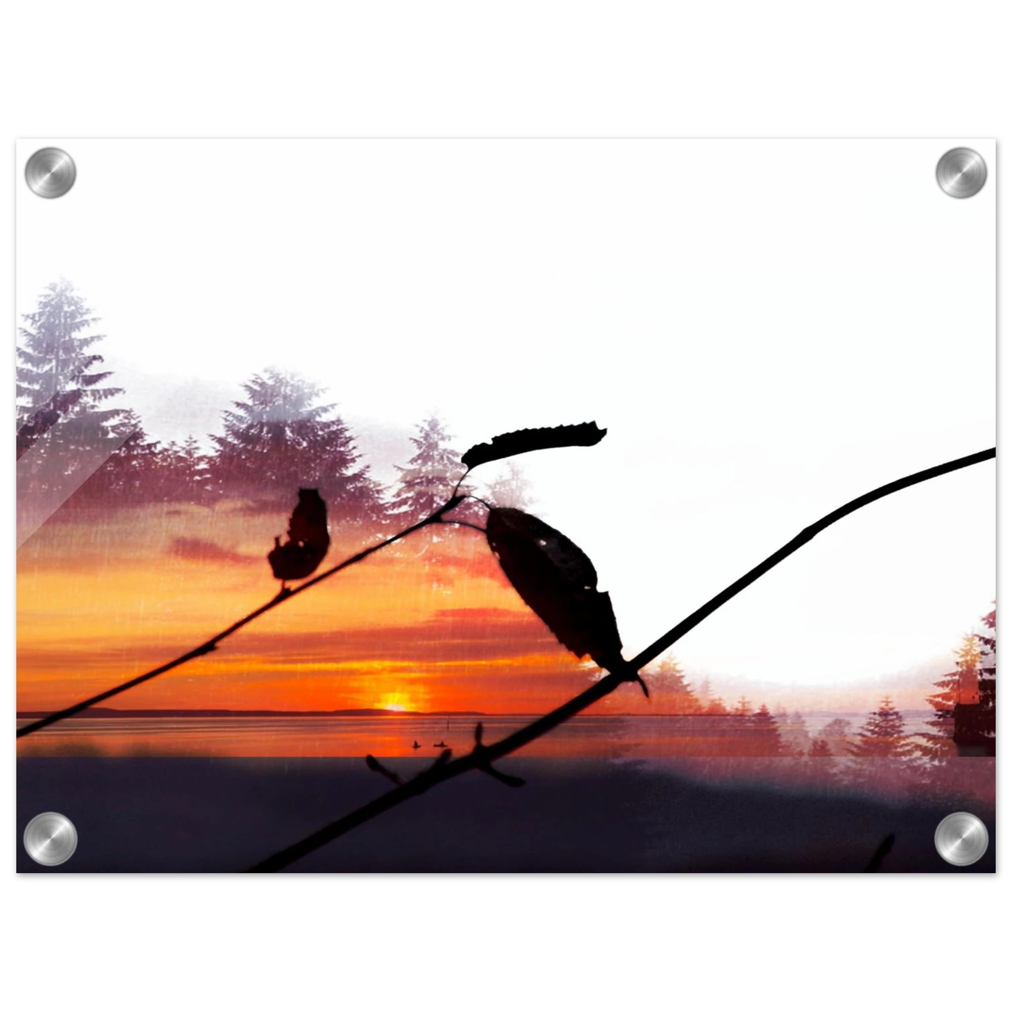 6fa8bd8b-a553-41cd-a4a2-b804acd04676
