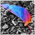 73083b5e-c704-4bf6-a747-f2fc6b8c7edc