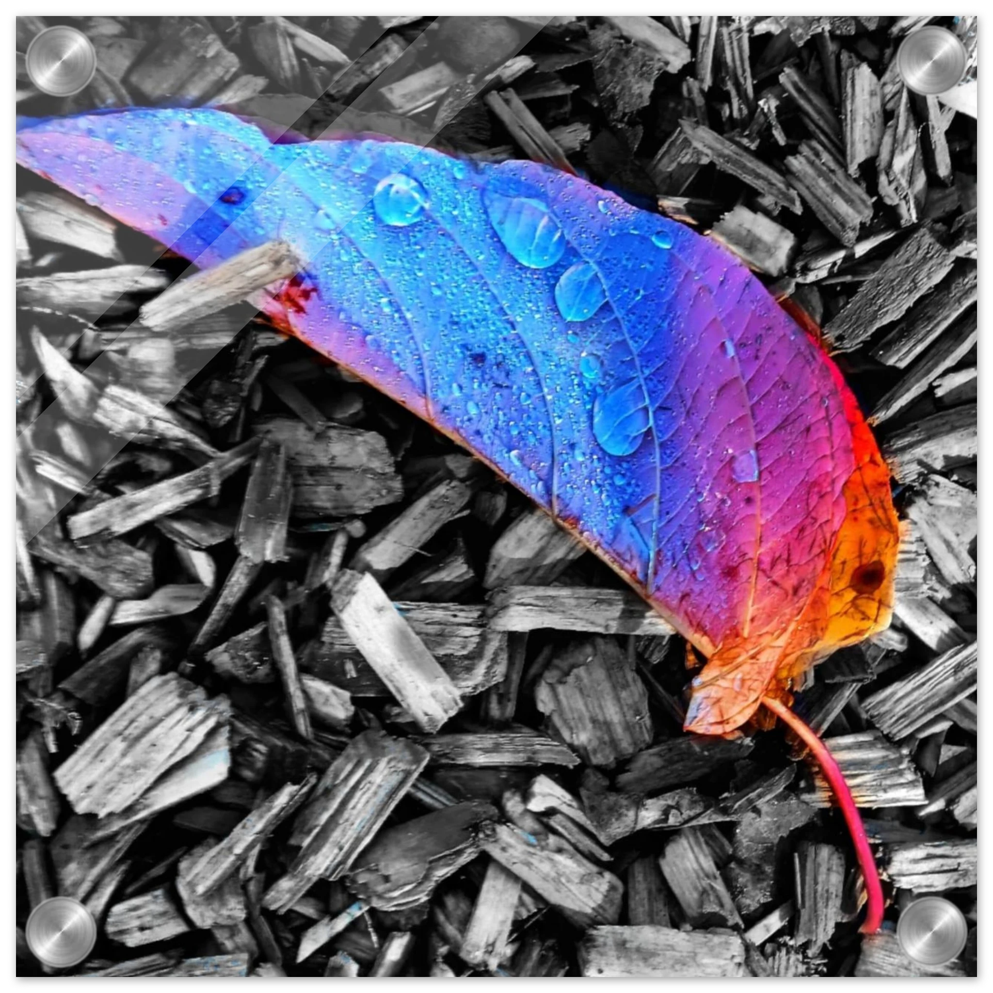 73083b5e-c704-4bf6-a747-f2fc6b8c7edc