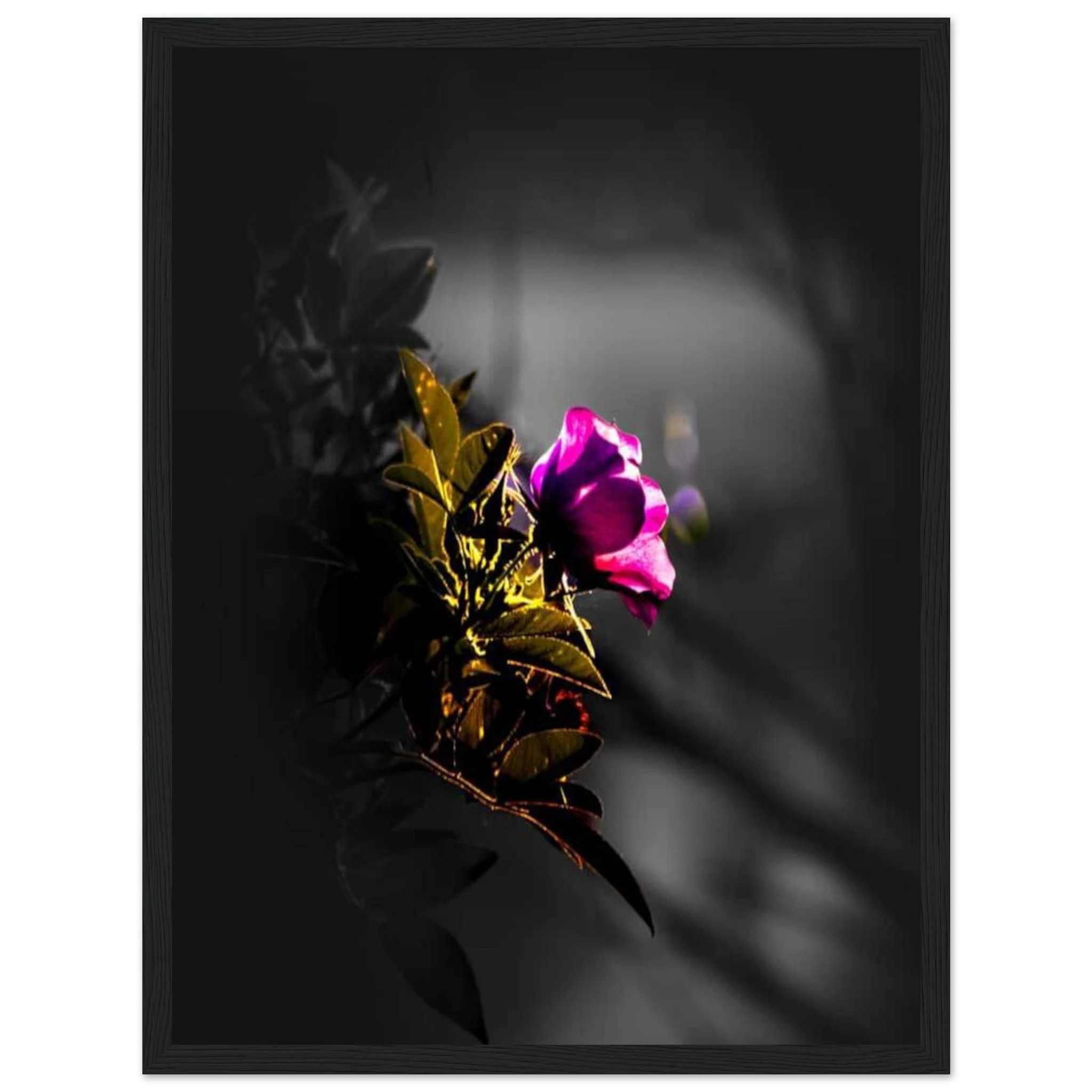 74e38328-0dd4-460b-b9e8-f6b4bf95c7f9