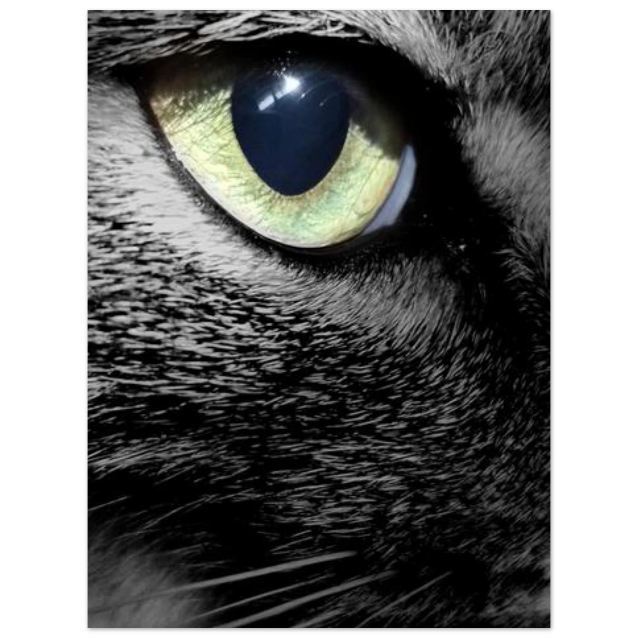 77a18c5e-25f4-4a69-9264-9bcc1f63185b