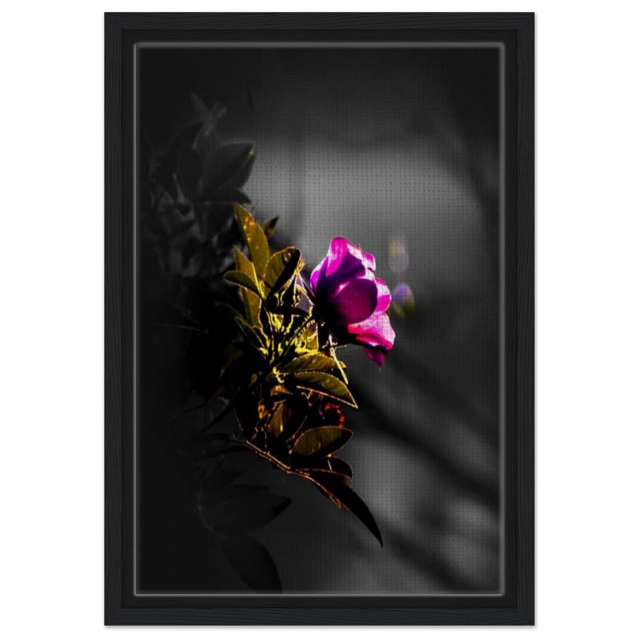 7985f3f9-02c8-4c52-bb3c-fd369200dc43