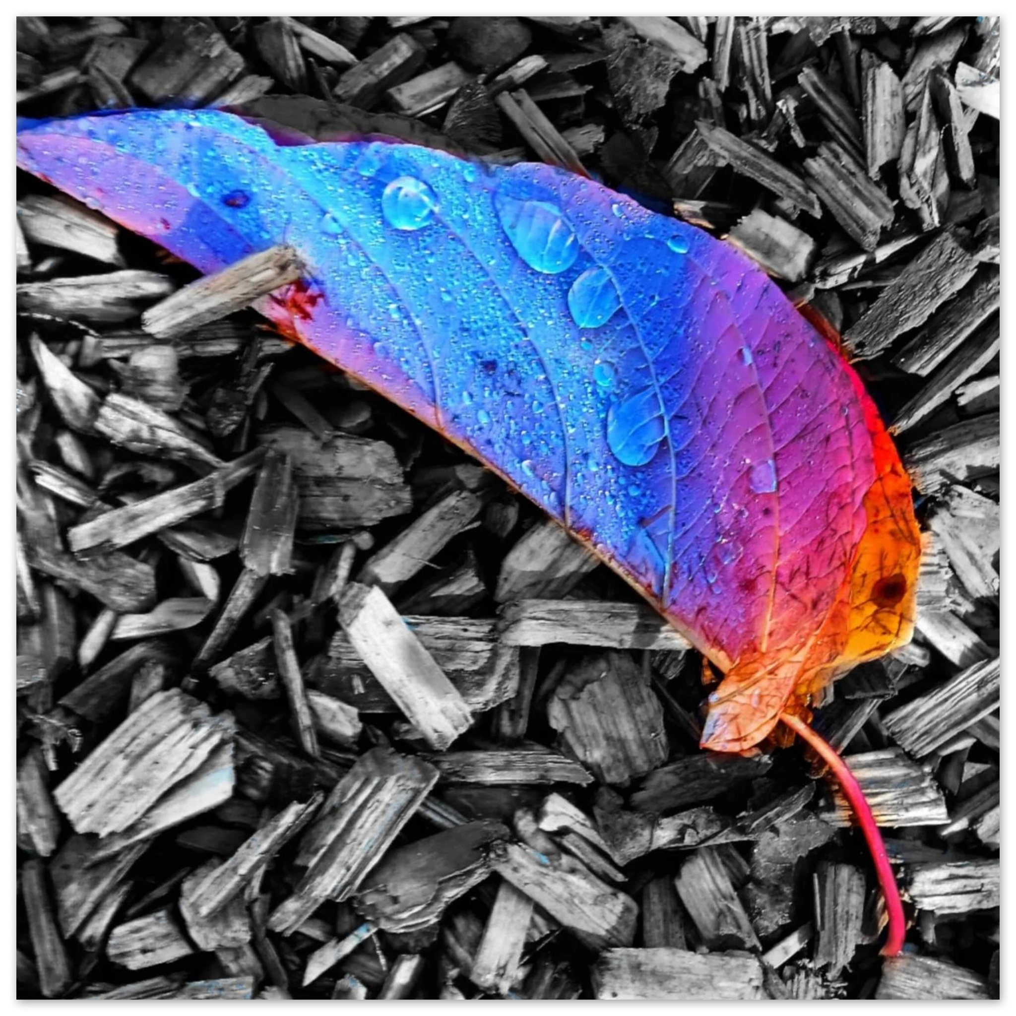 81593acf-39b9-4a11-aeef-8d5be5f3aa85