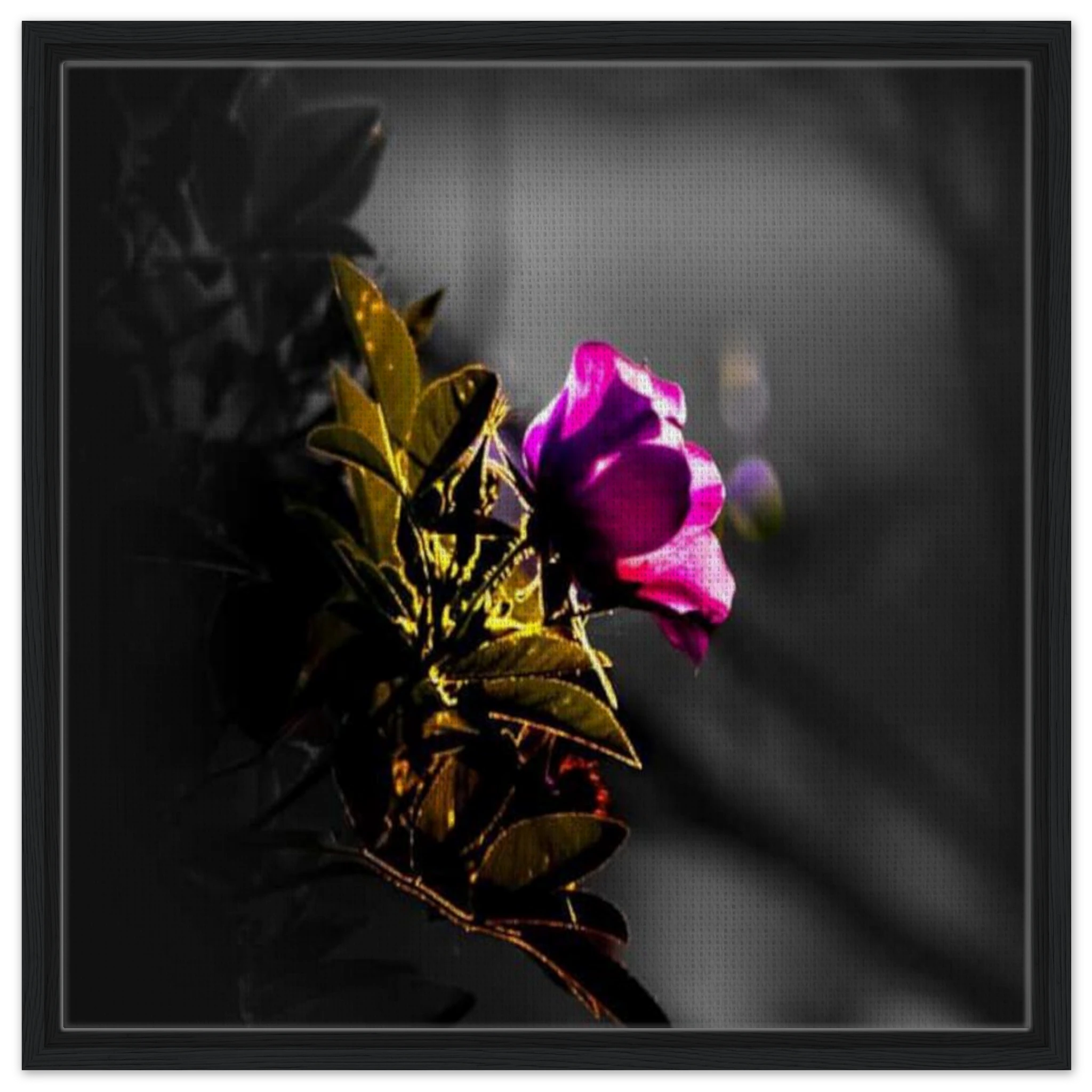81ea8b0c-2d18-4f1d-83ed-ec47d6a80931