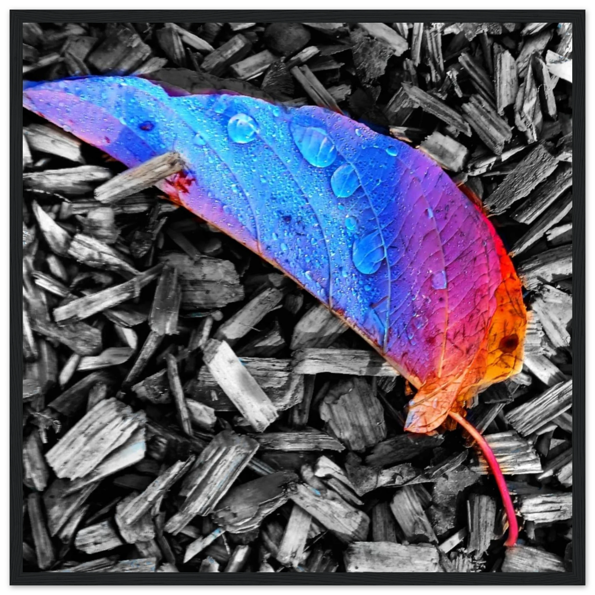 8379d878-8a18-4b99-acc1-94d7cc0ed966