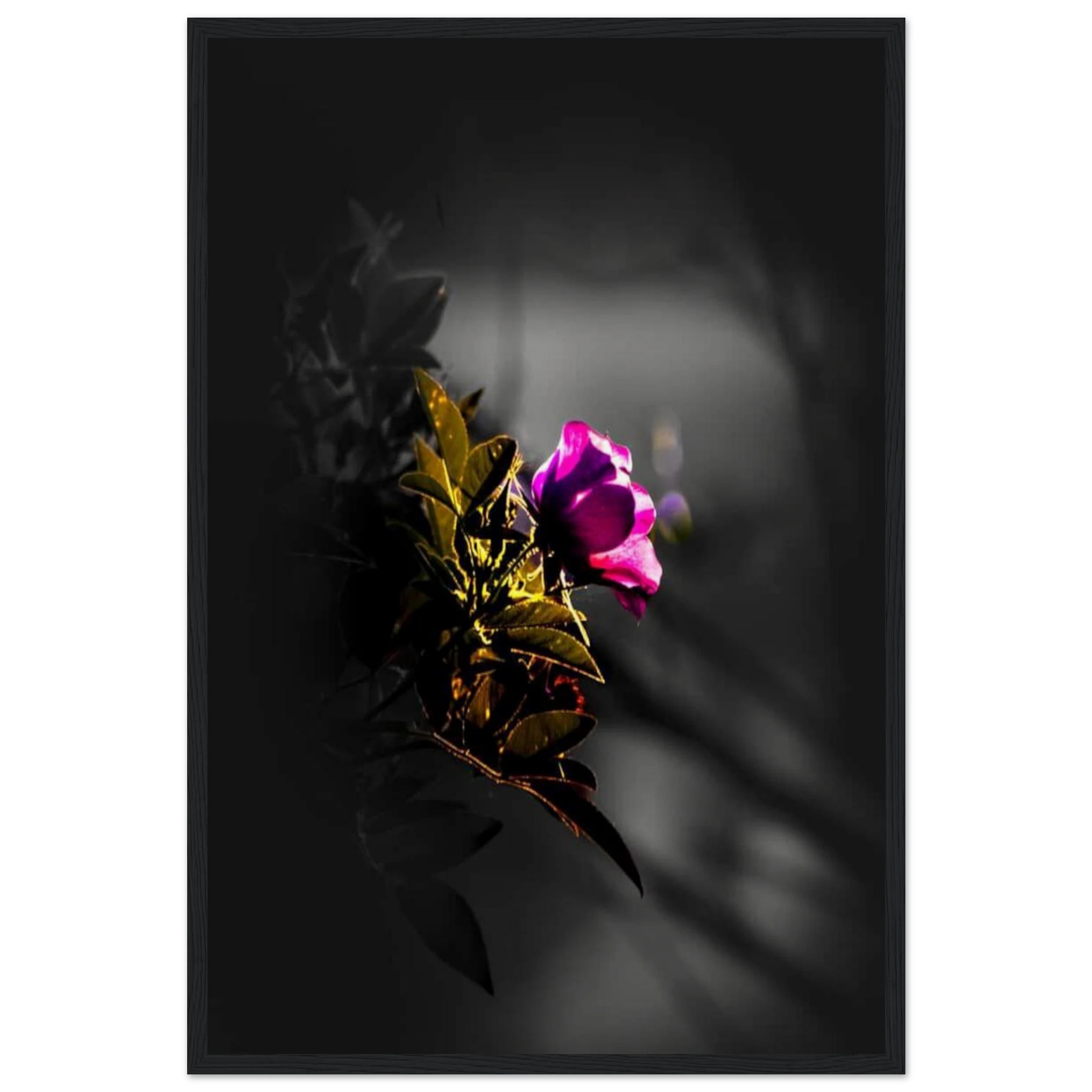 870c964c-5e51-4a72-9649-875639c20935