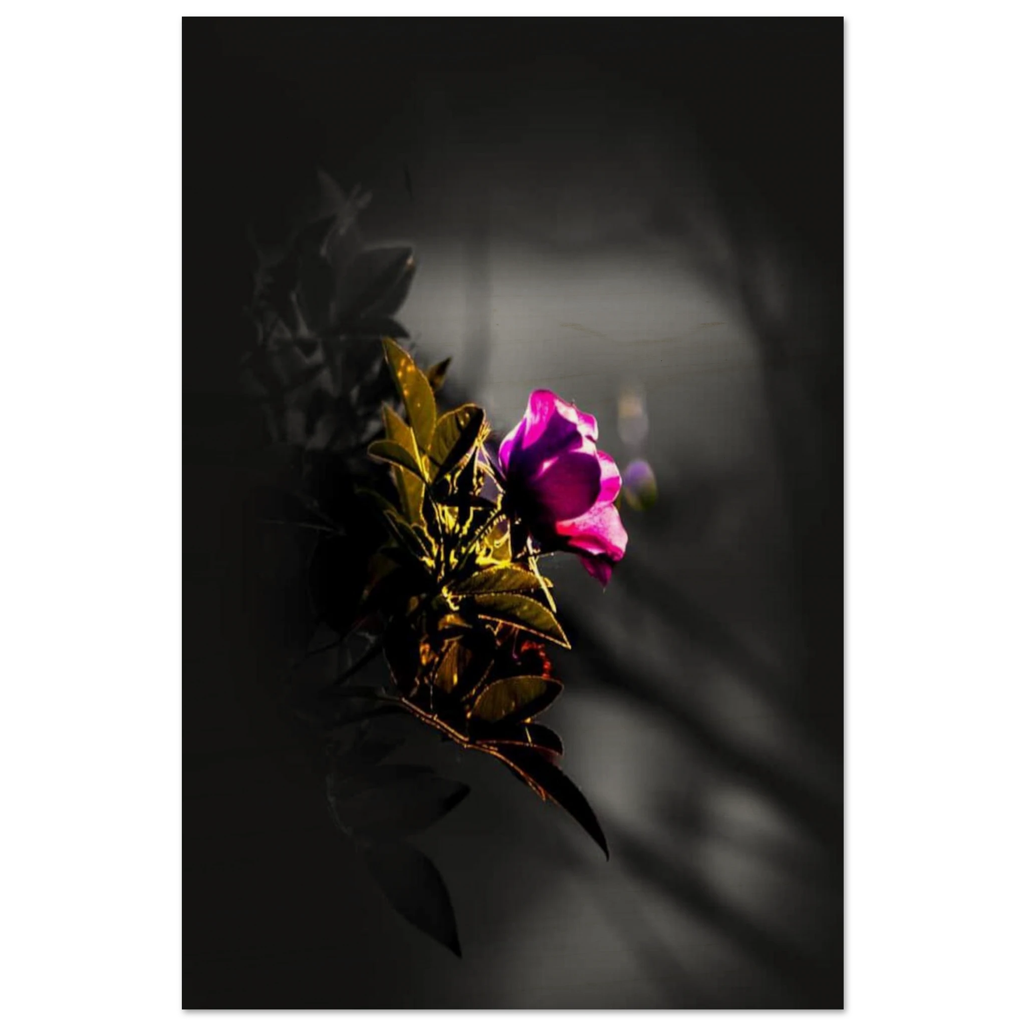 8794fc79-01db-4462-a31a-7406e5c16602