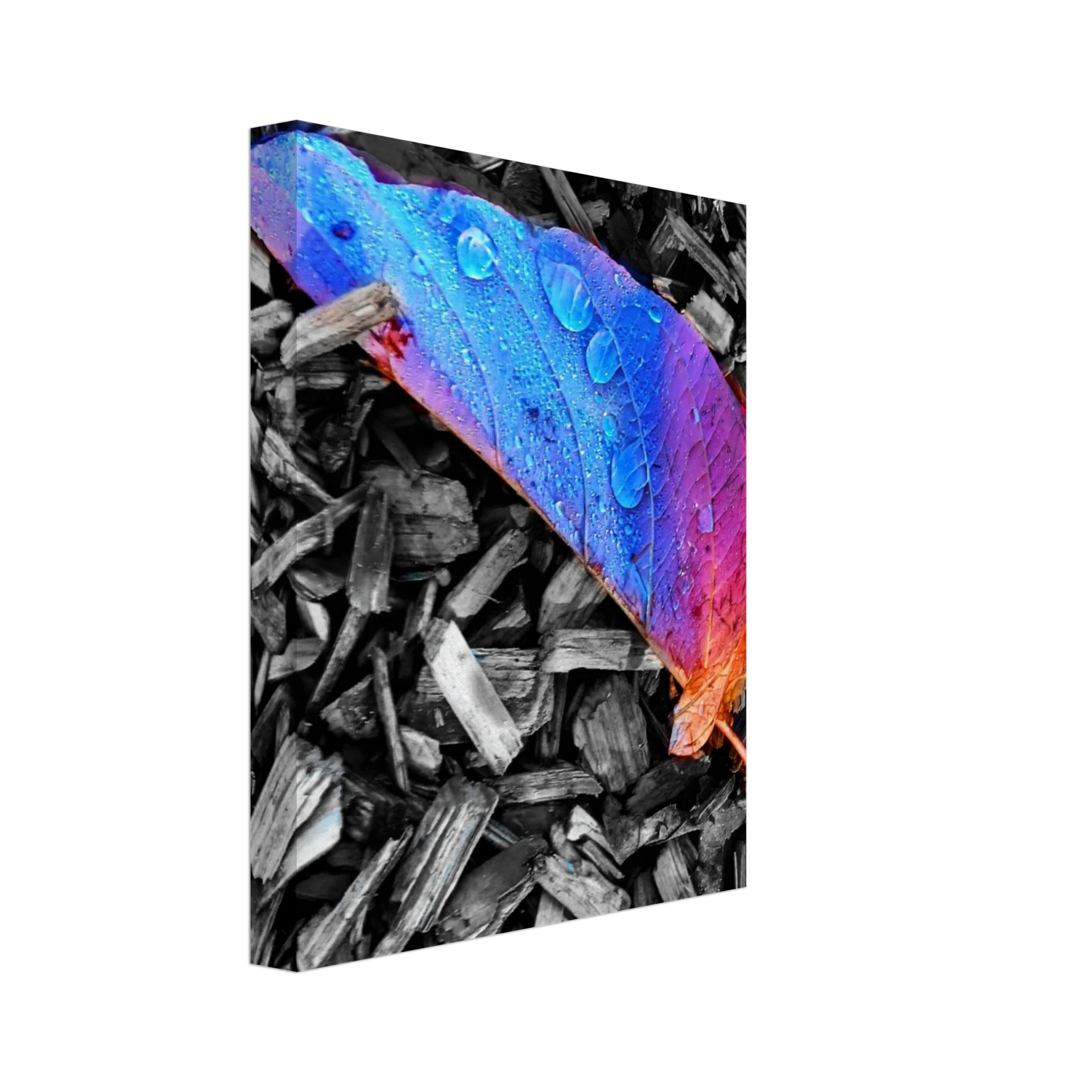 880d1b76-96f2-44c2-8407-4a80bf903c3f