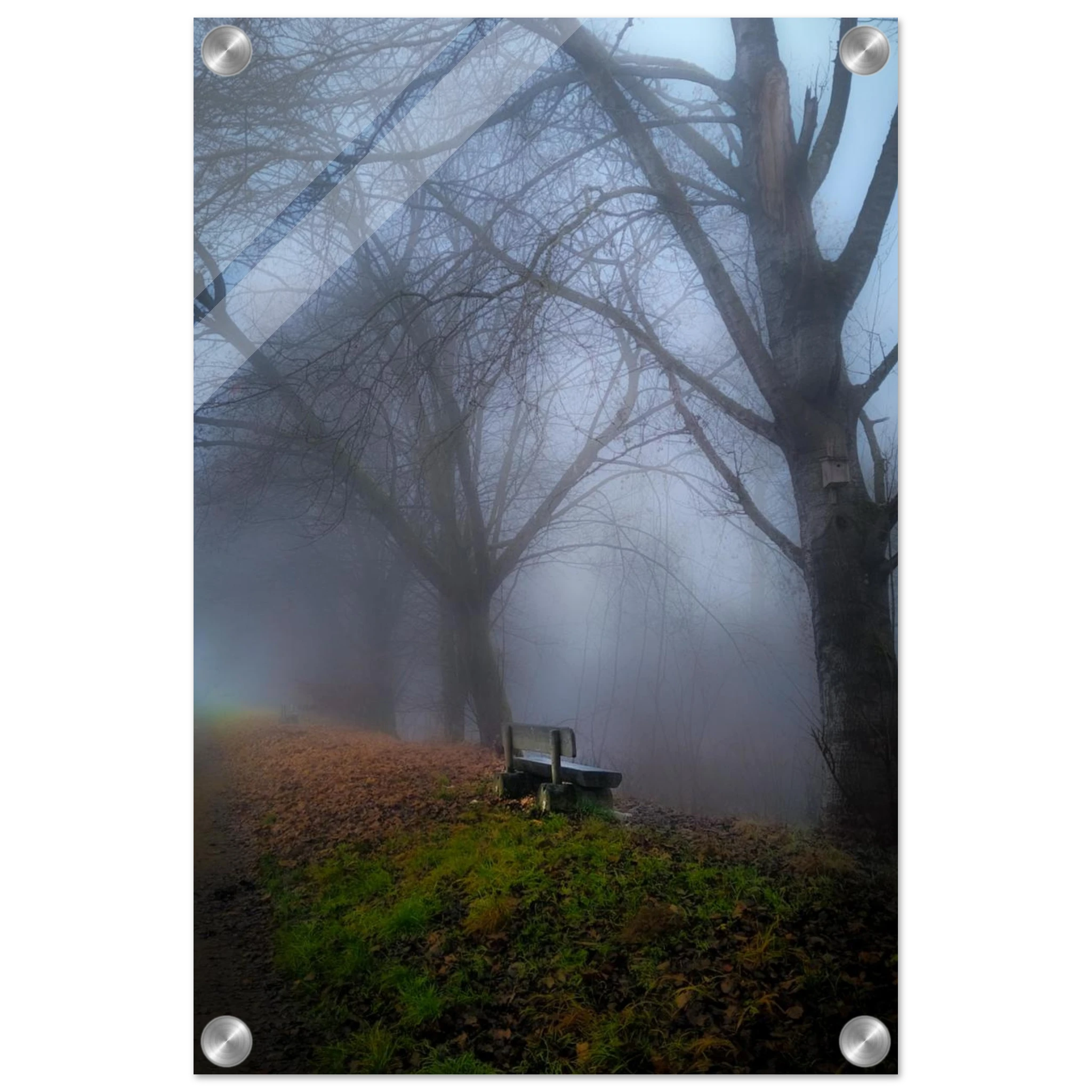 8f987dc1-7e55-4186-9c66-2d6c6ef08e2b