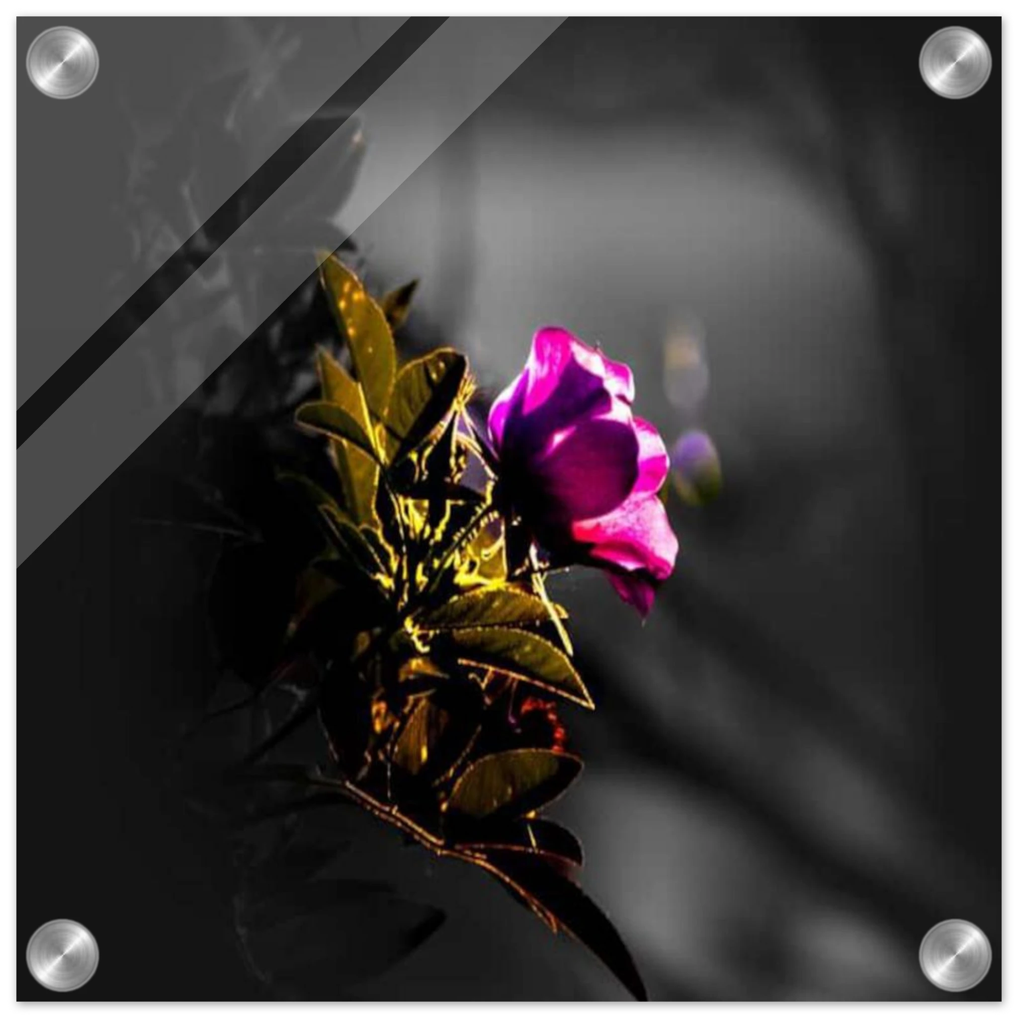 90cb6072-f8a6-42b5-80c1-9692eeb9c327