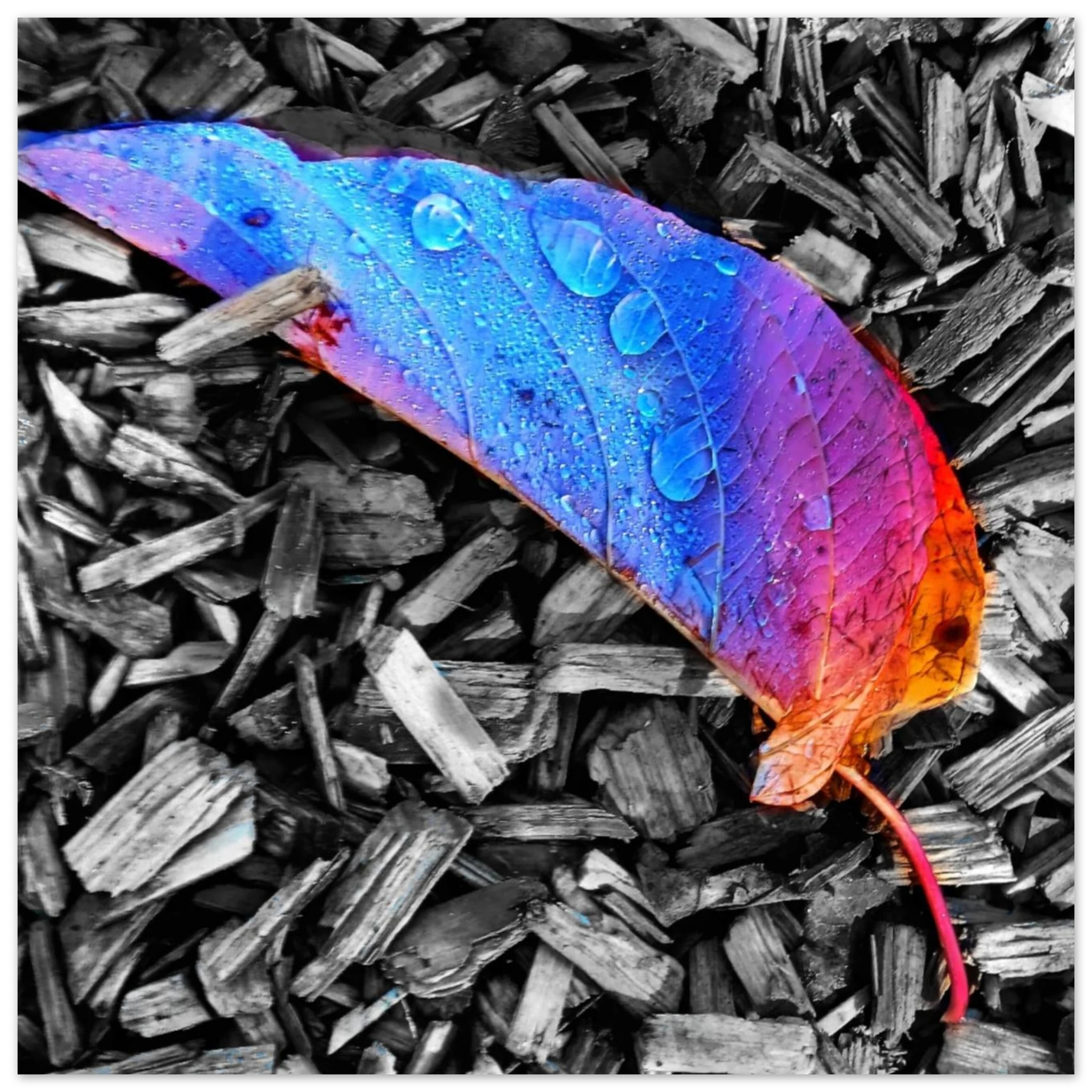 952d64fd-c48f-4e52-a1be-89bf9df15a48