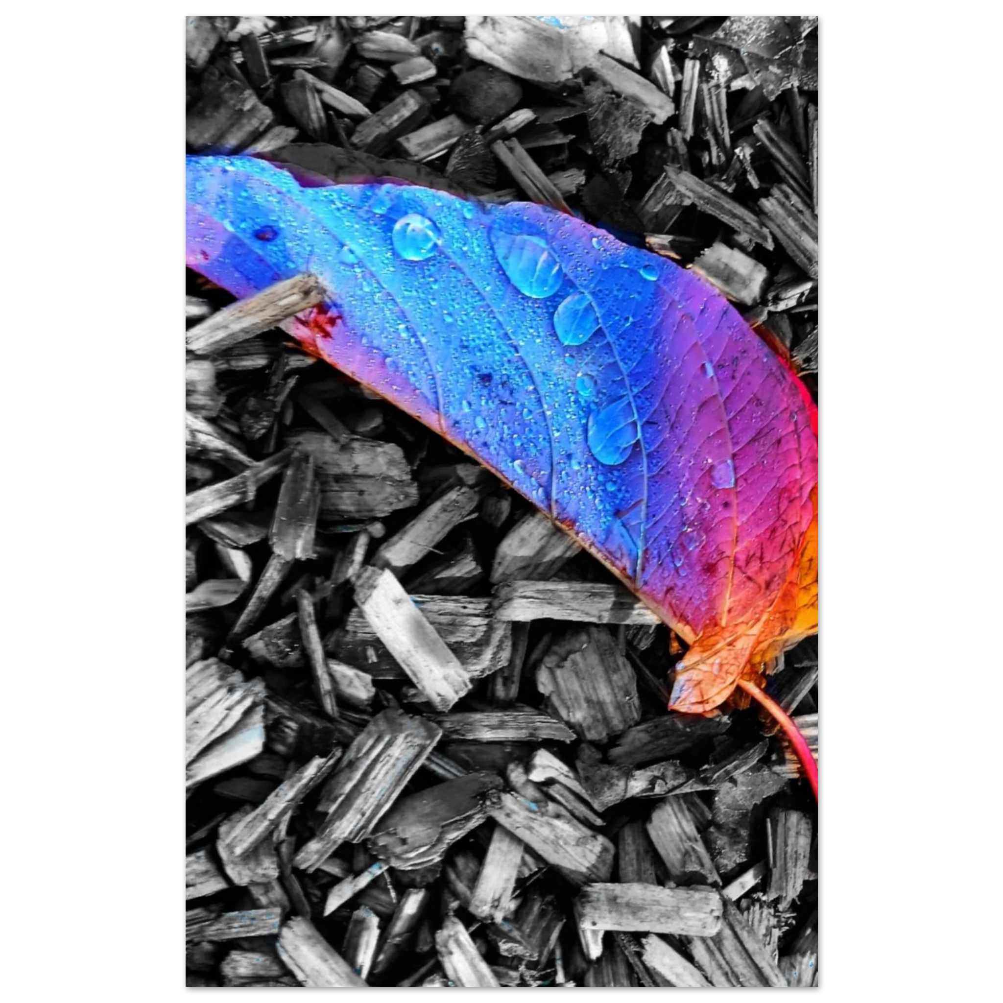 9aea412a-6a07-4a7e-9691-f4d26da158ef