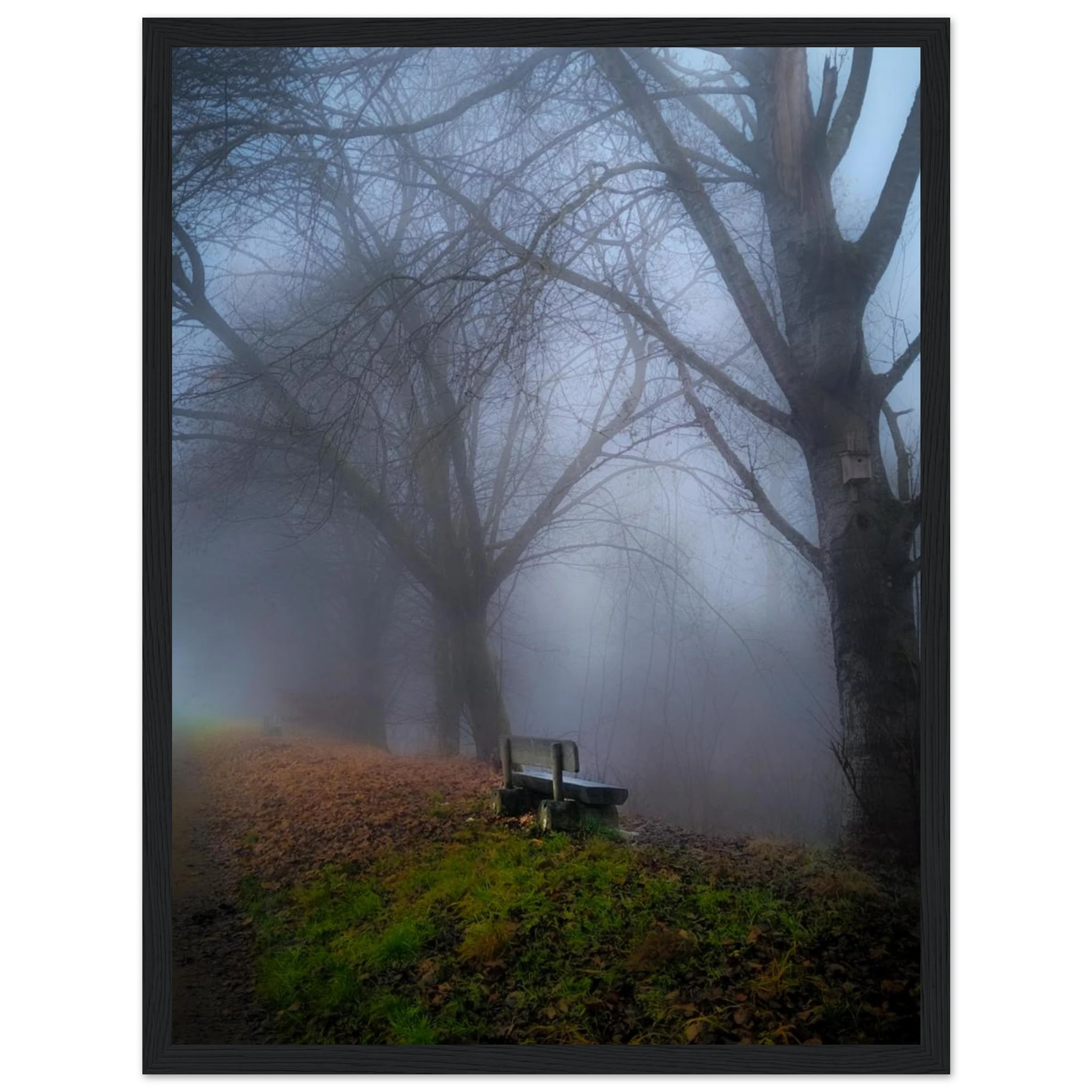a221a5f6-b0db-4385-be3a-9536f5215e08