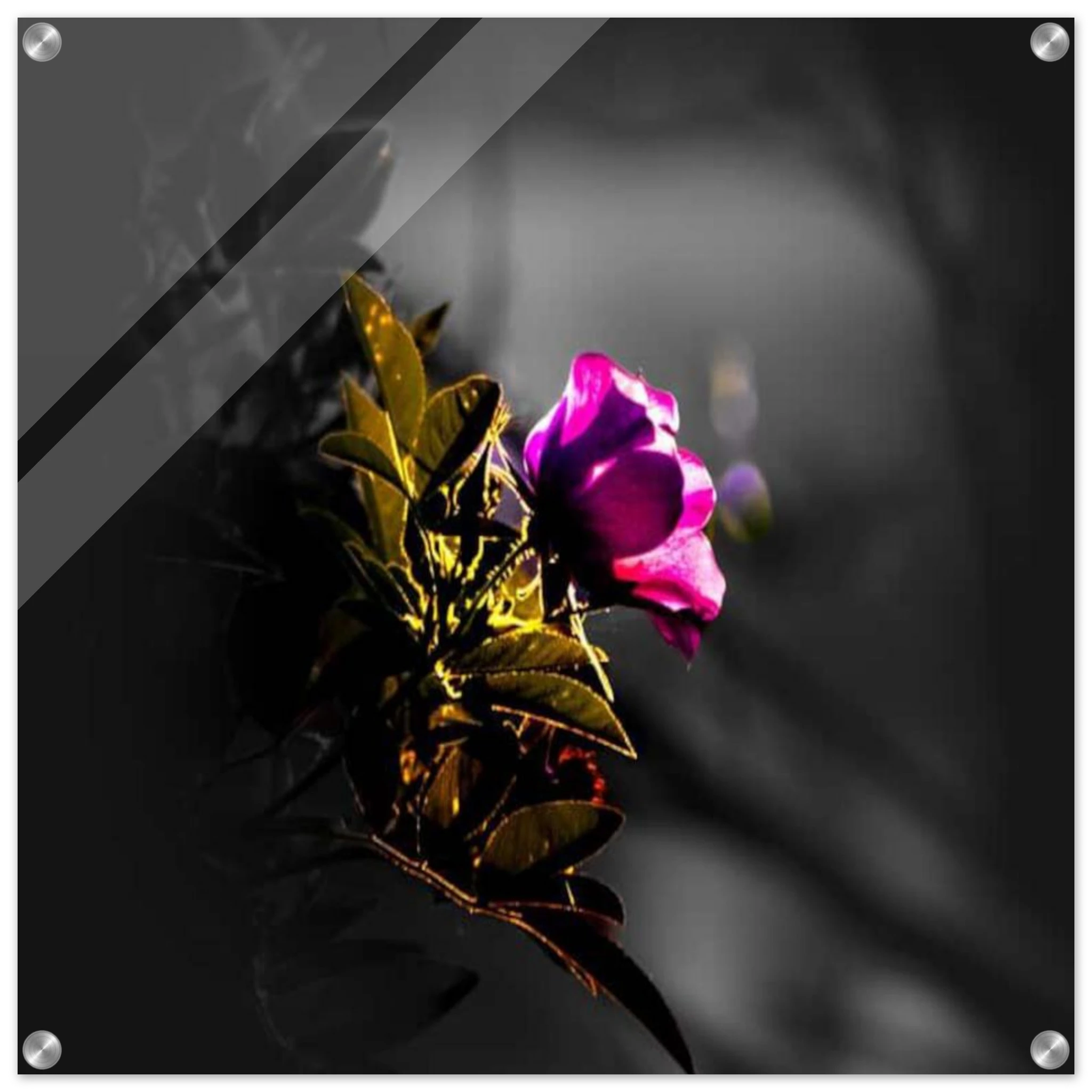 ad5b00fa-d962-433d-9b54-e05a10c84731