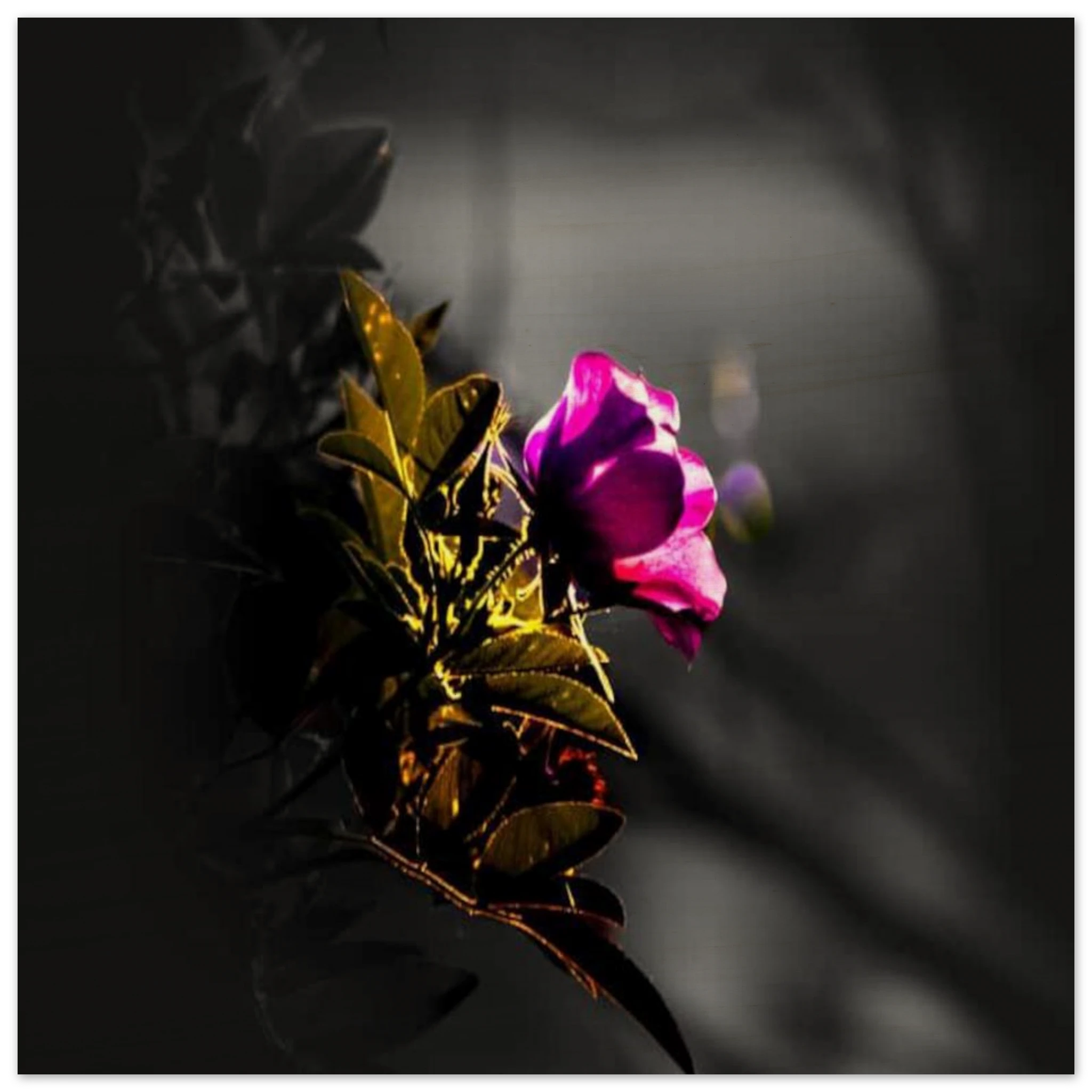 b1689741-d845-4a94-90a8-8c016d70b813