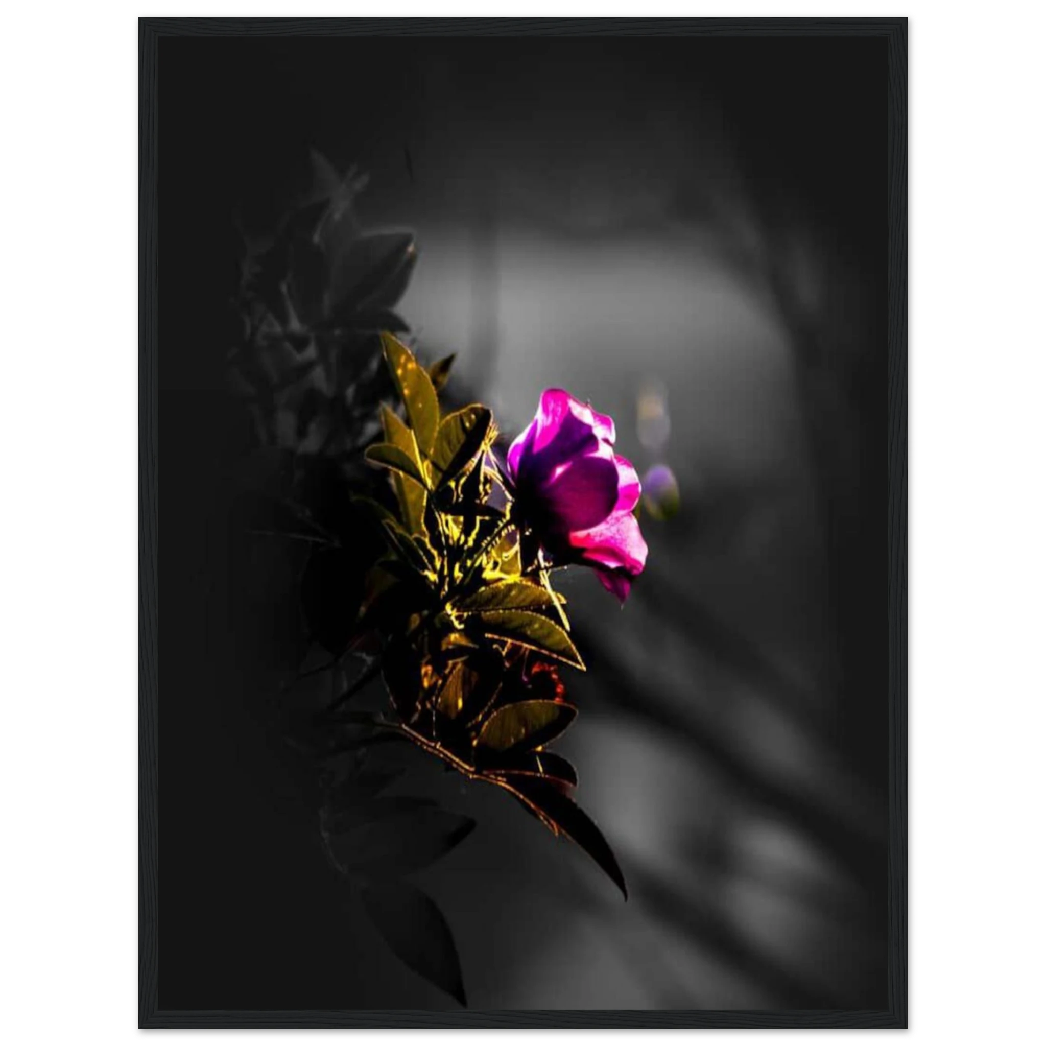 b2fd9ae7-3f88-4540-ab74-cf5568b17a9b