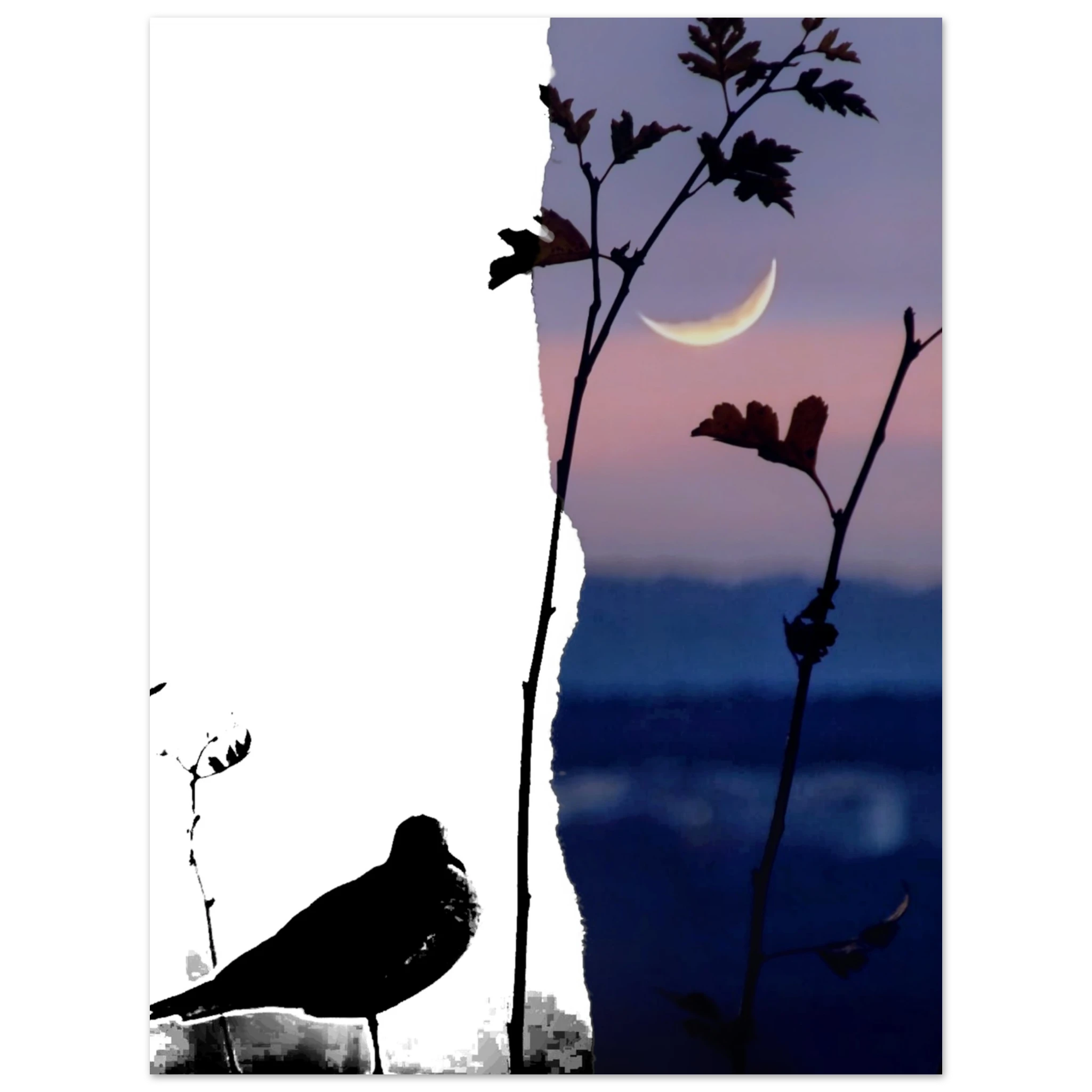 b34940e4-abc4-457e-86b7-45e2fb79fbb0