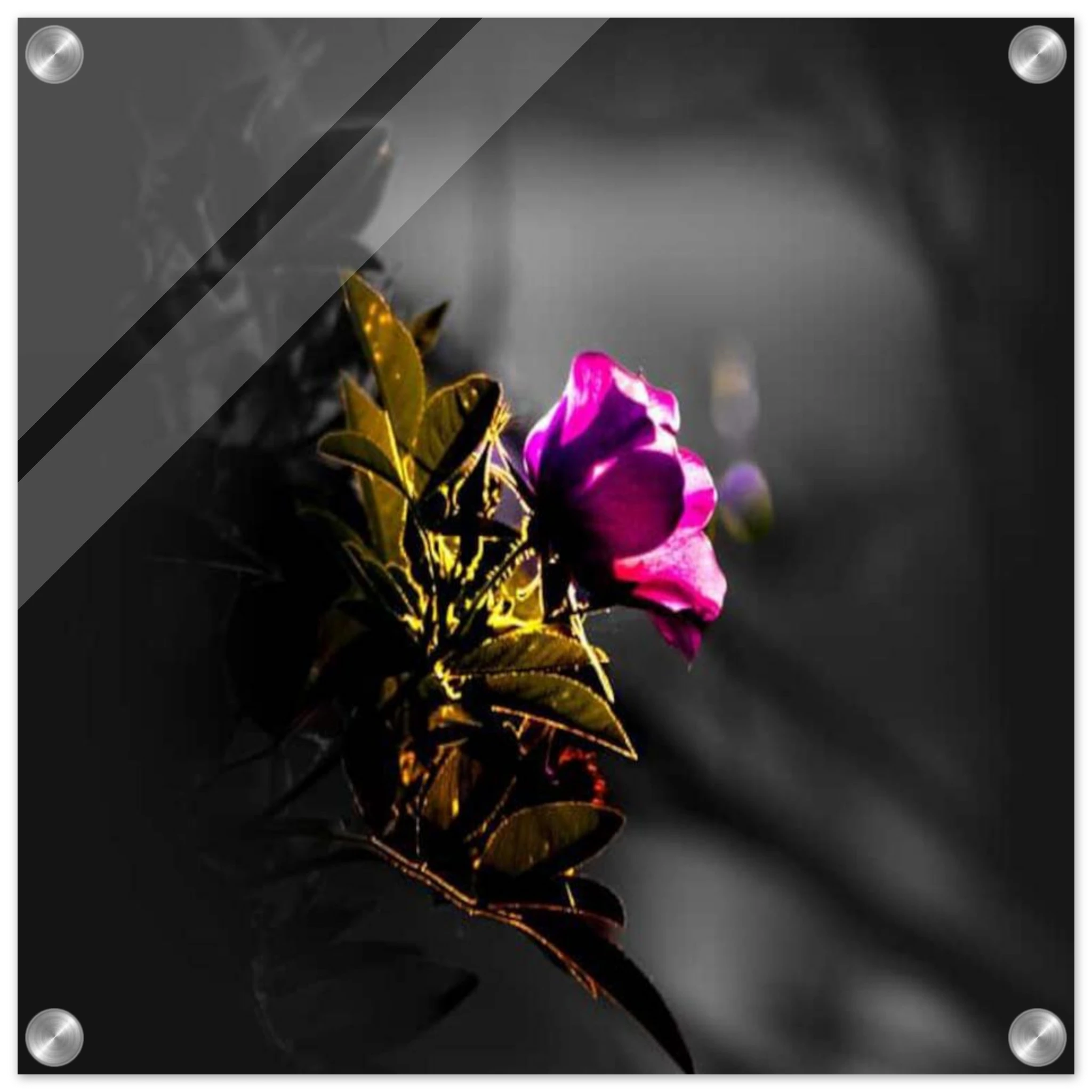 b59a3aca-64d3-4af7-8863-9db4eb1846f1