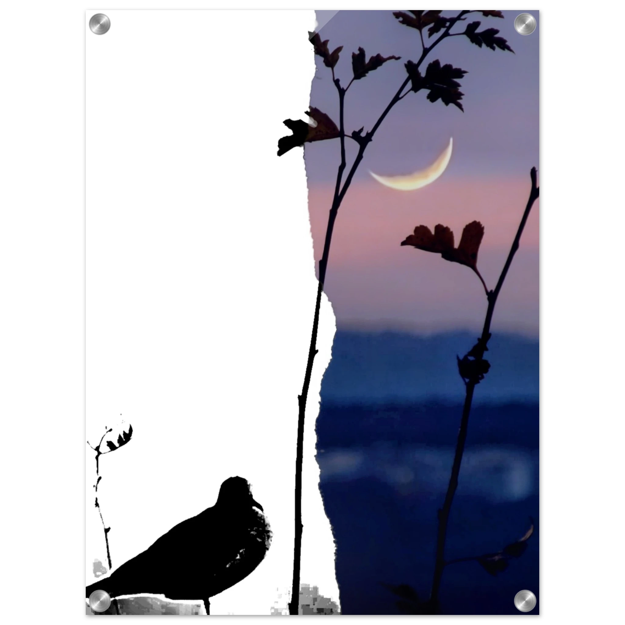 bb1c503e-bc4d-4223-897e-0349c346118c